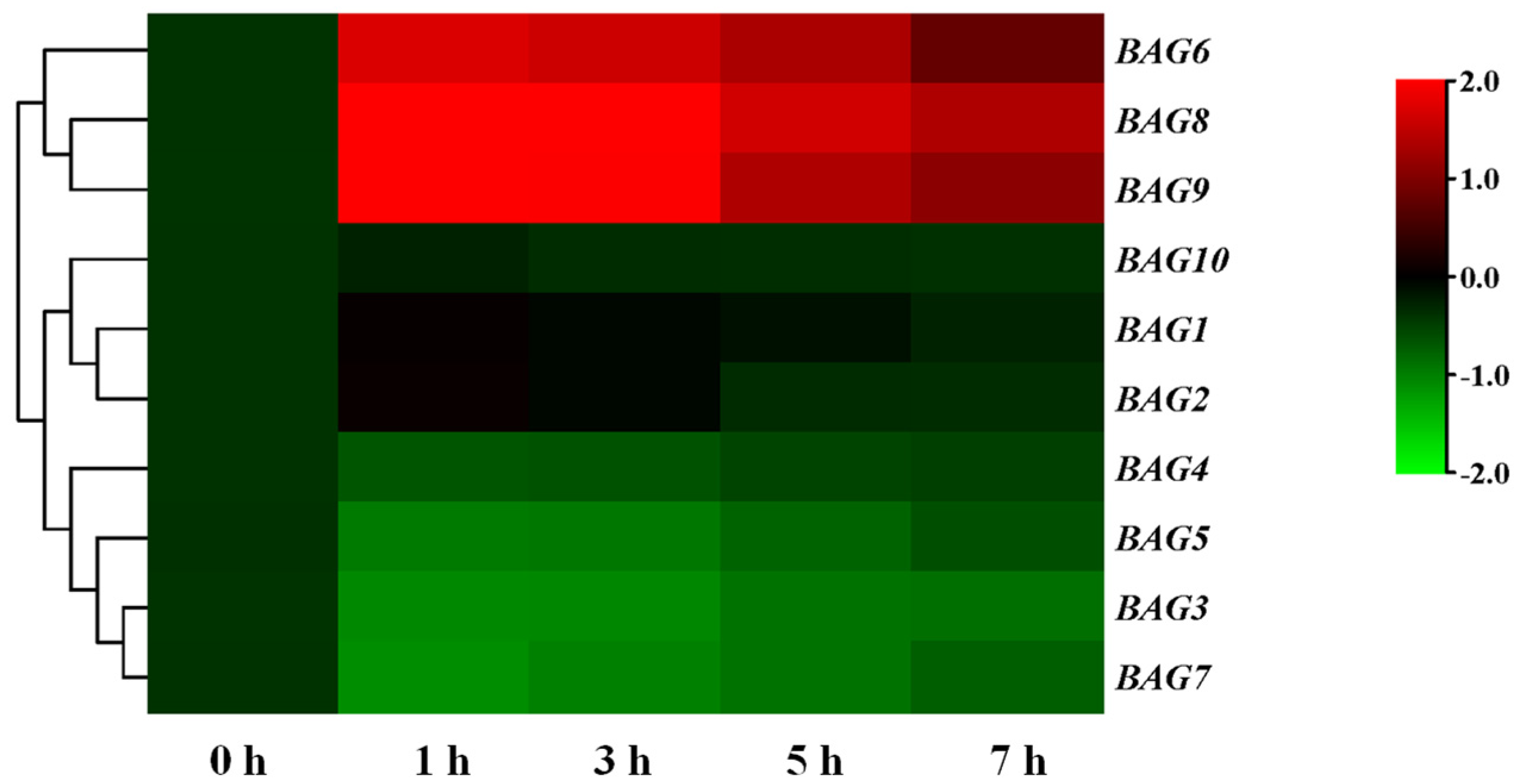 Antioxidants 11 01467 g002