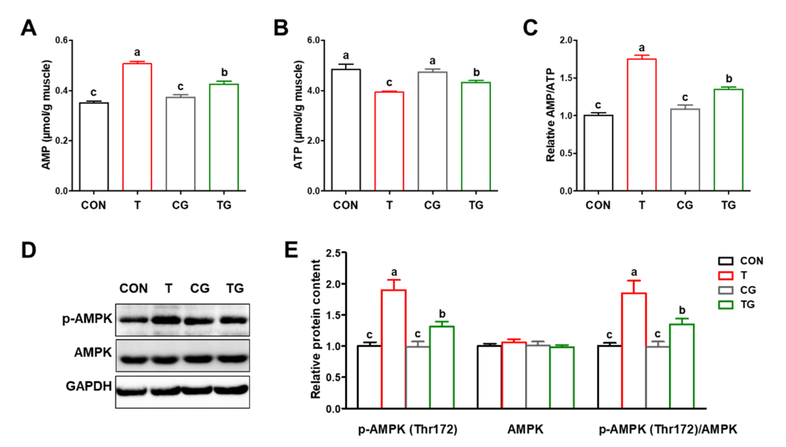 Antioxidants 11 01468 g004