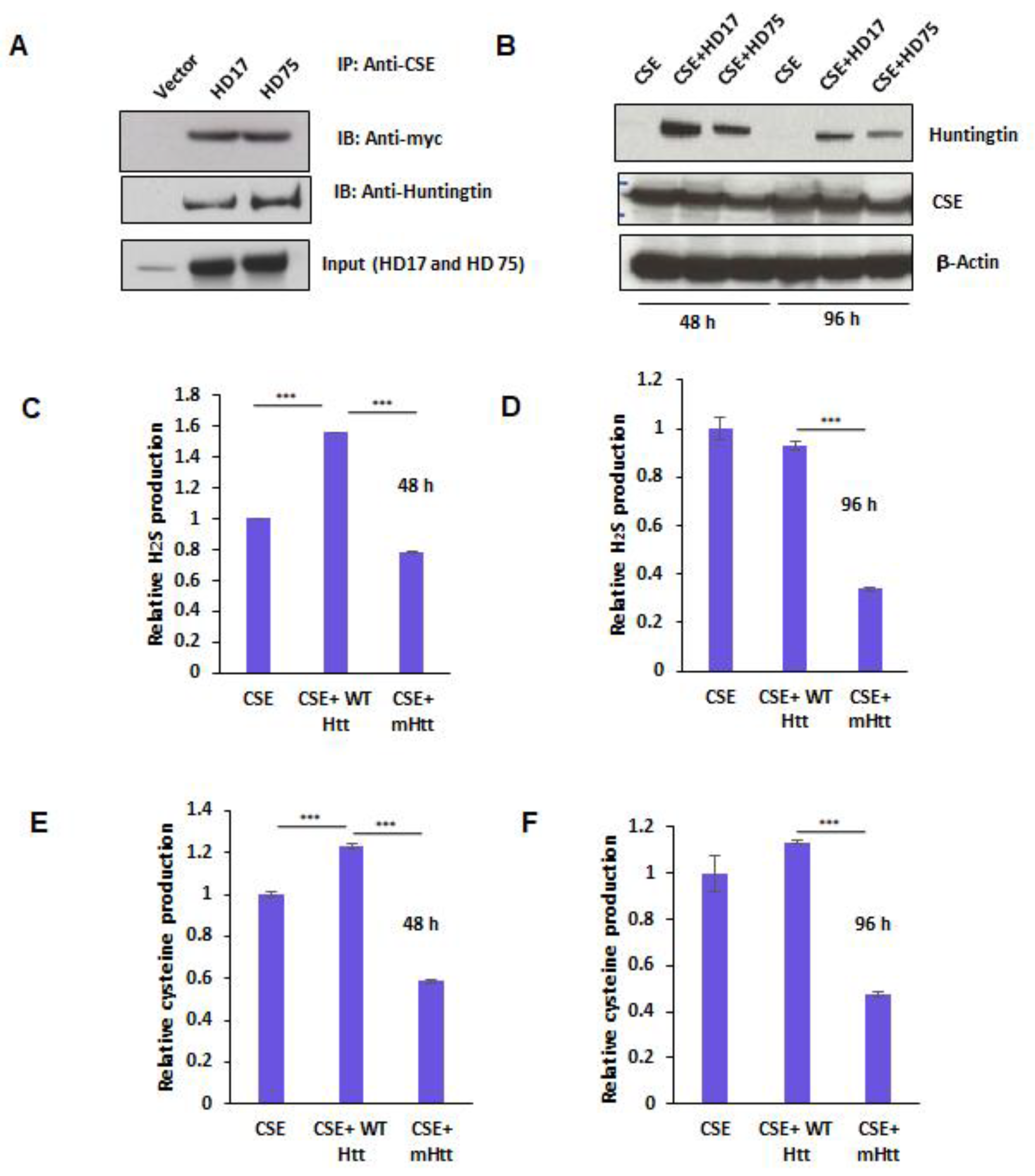 Antioxidants 11 01470 g004
