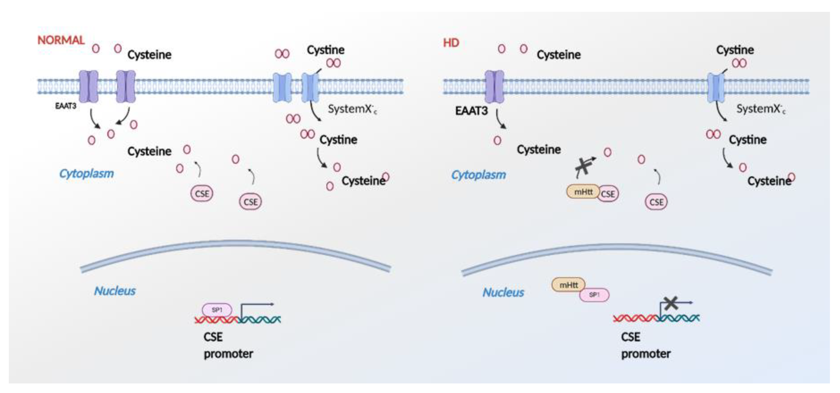 Antioxidants 11 01470 g005