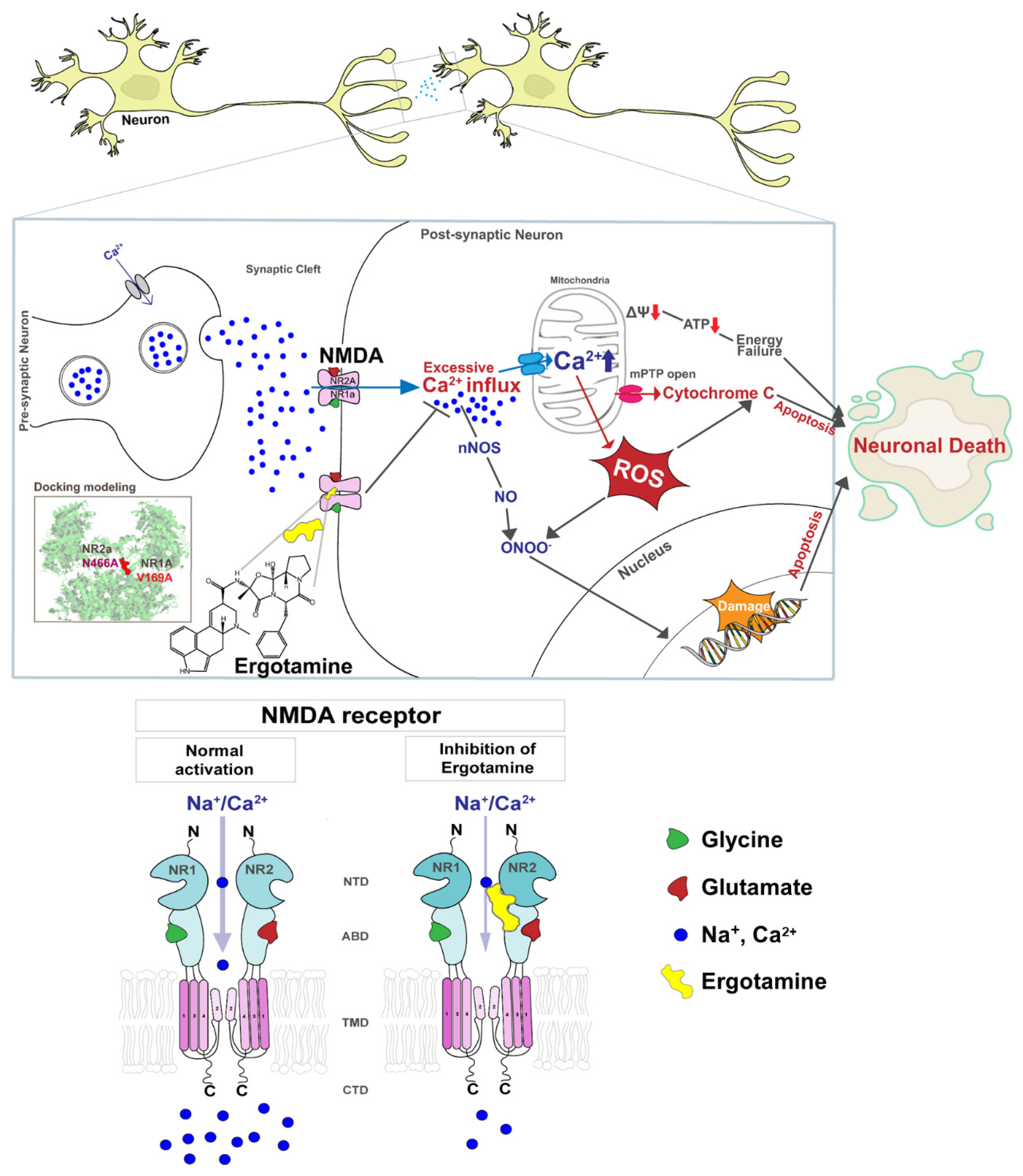 Antioxidants 11 01471 g001