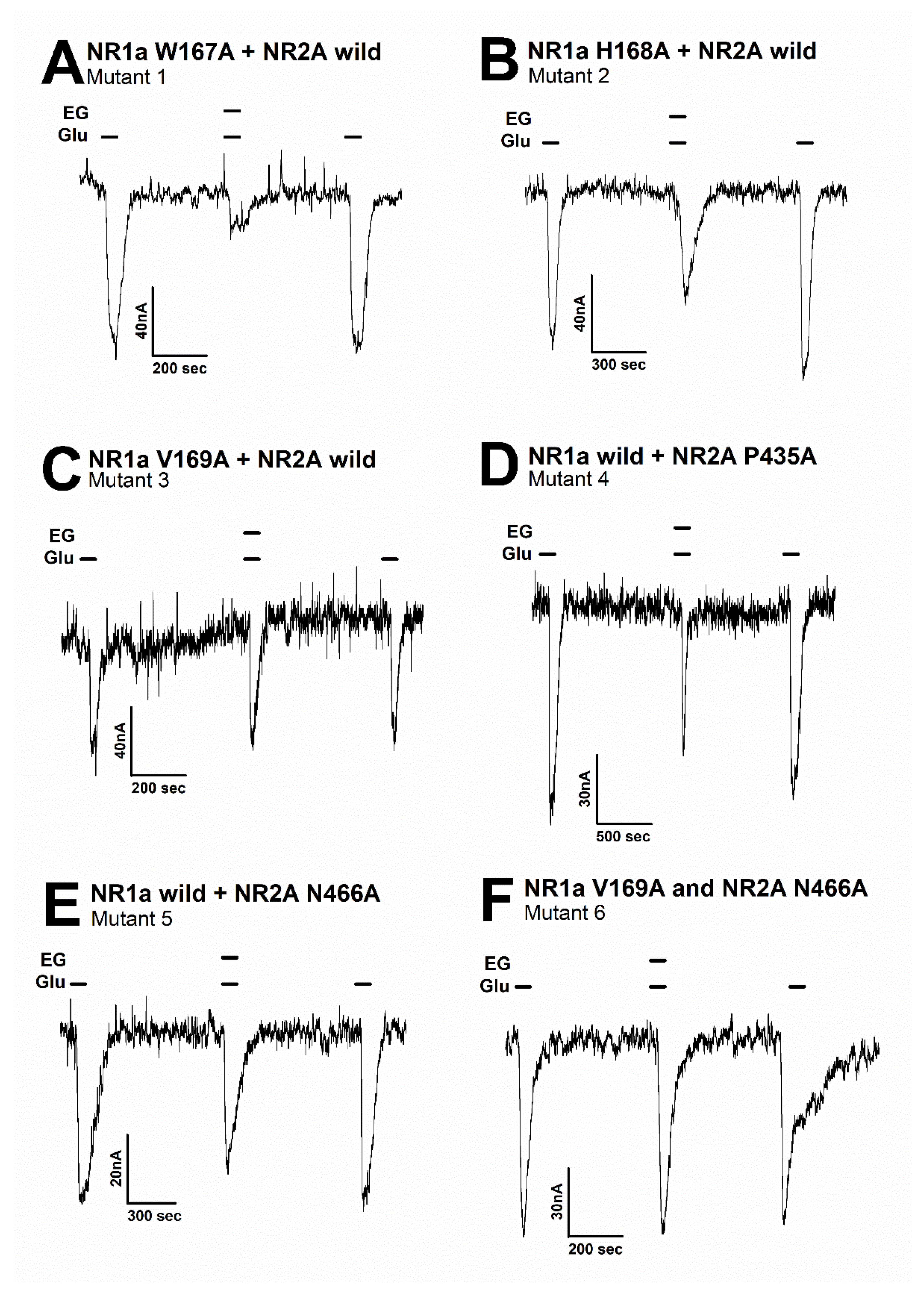 Antioxidants 11 01471 g005