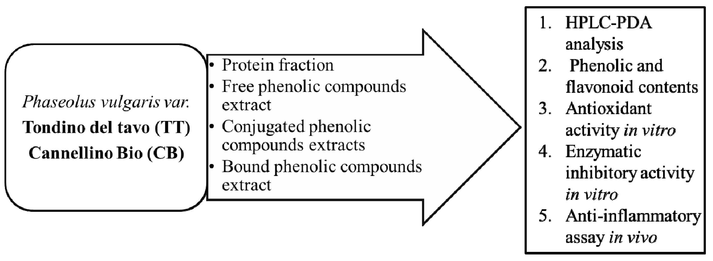 Antioxidants 11 01474 g001