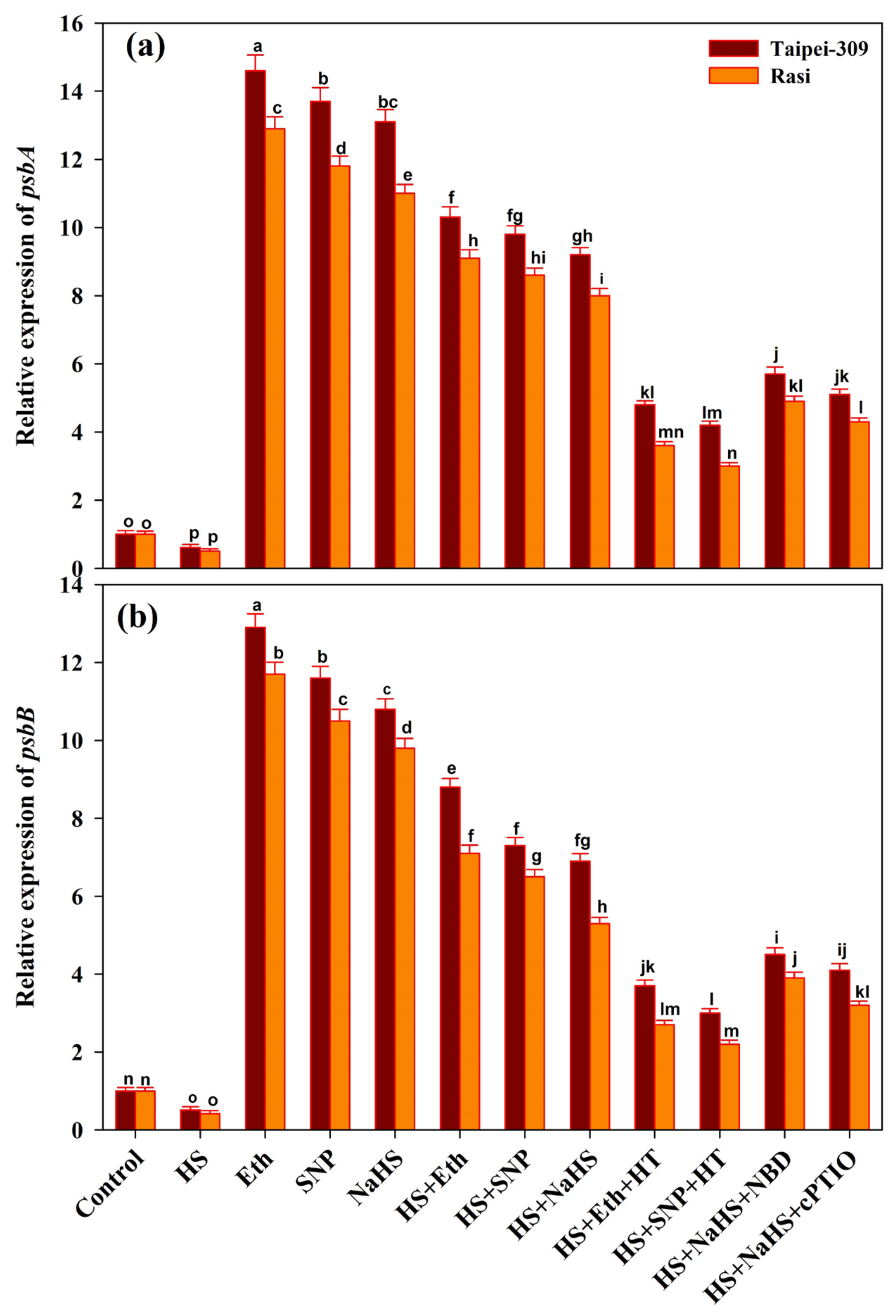 Antioxidants 11 01478 g004