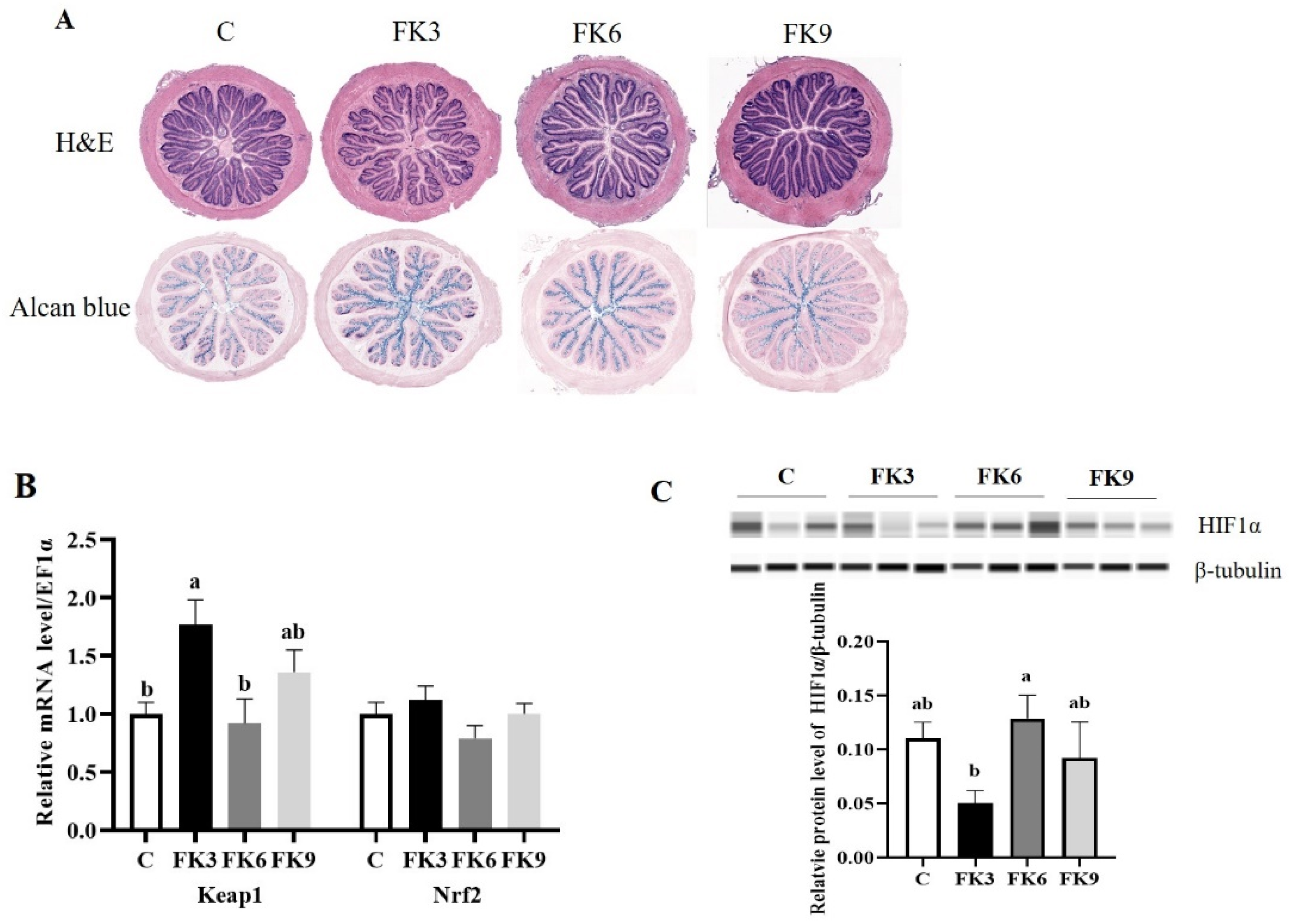 Antioxidants 11 01479 g002