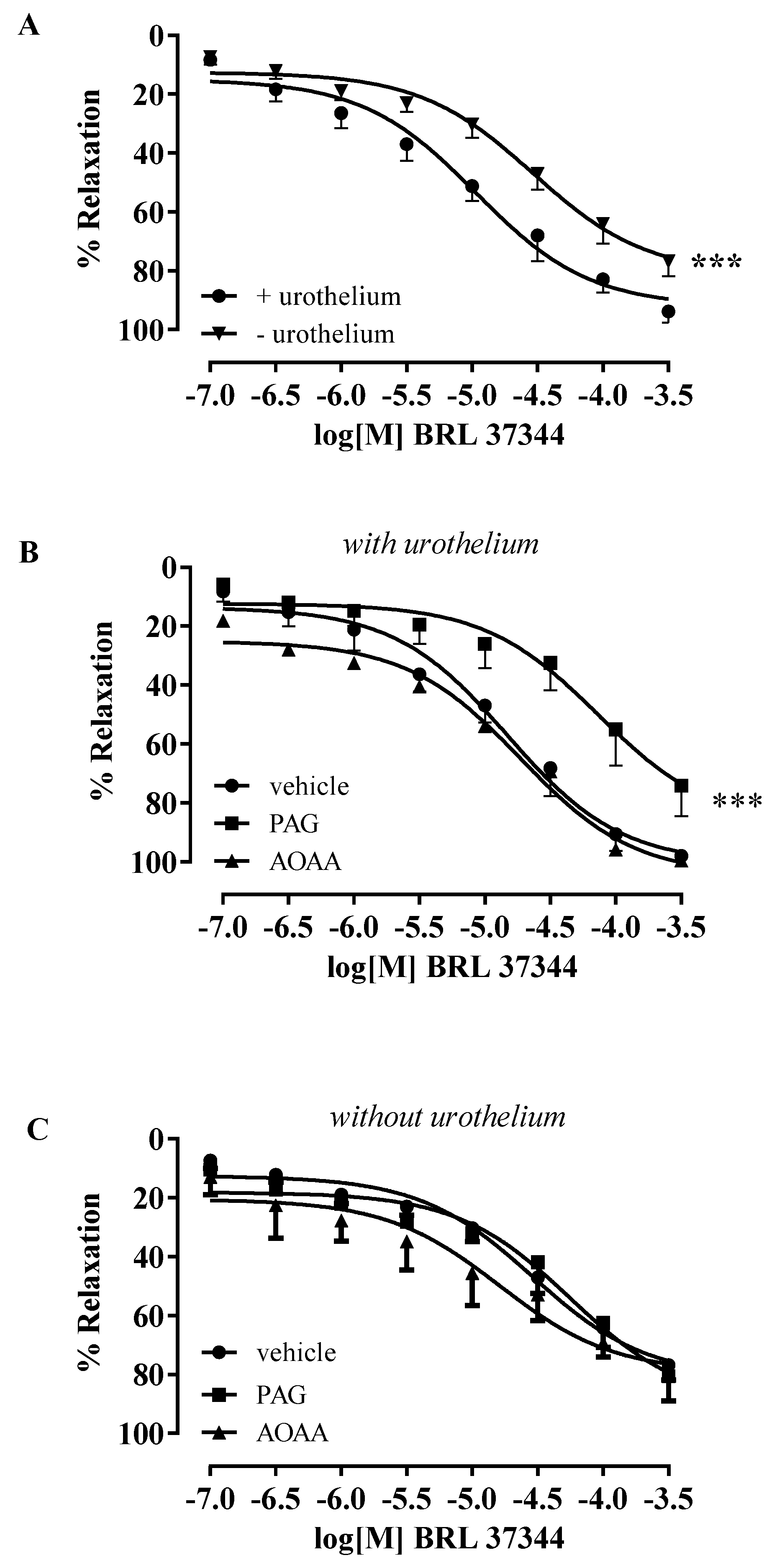 Antioxidants 11 01480 g002