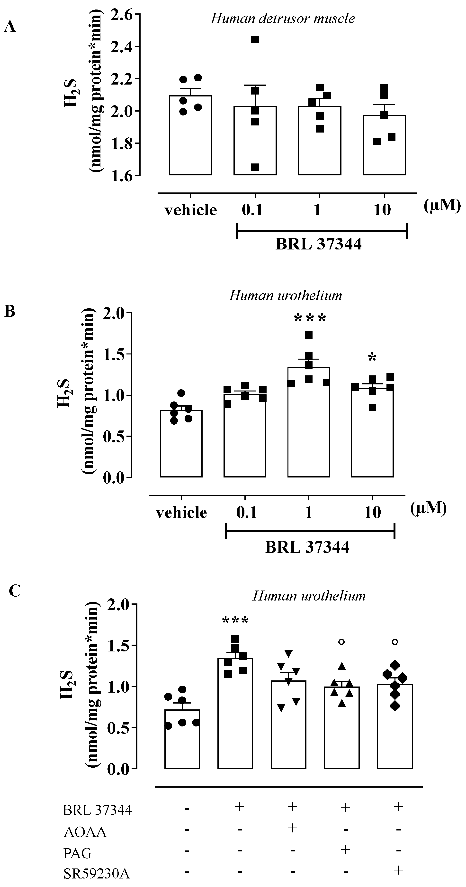 Antioxidants 11 01480 g003