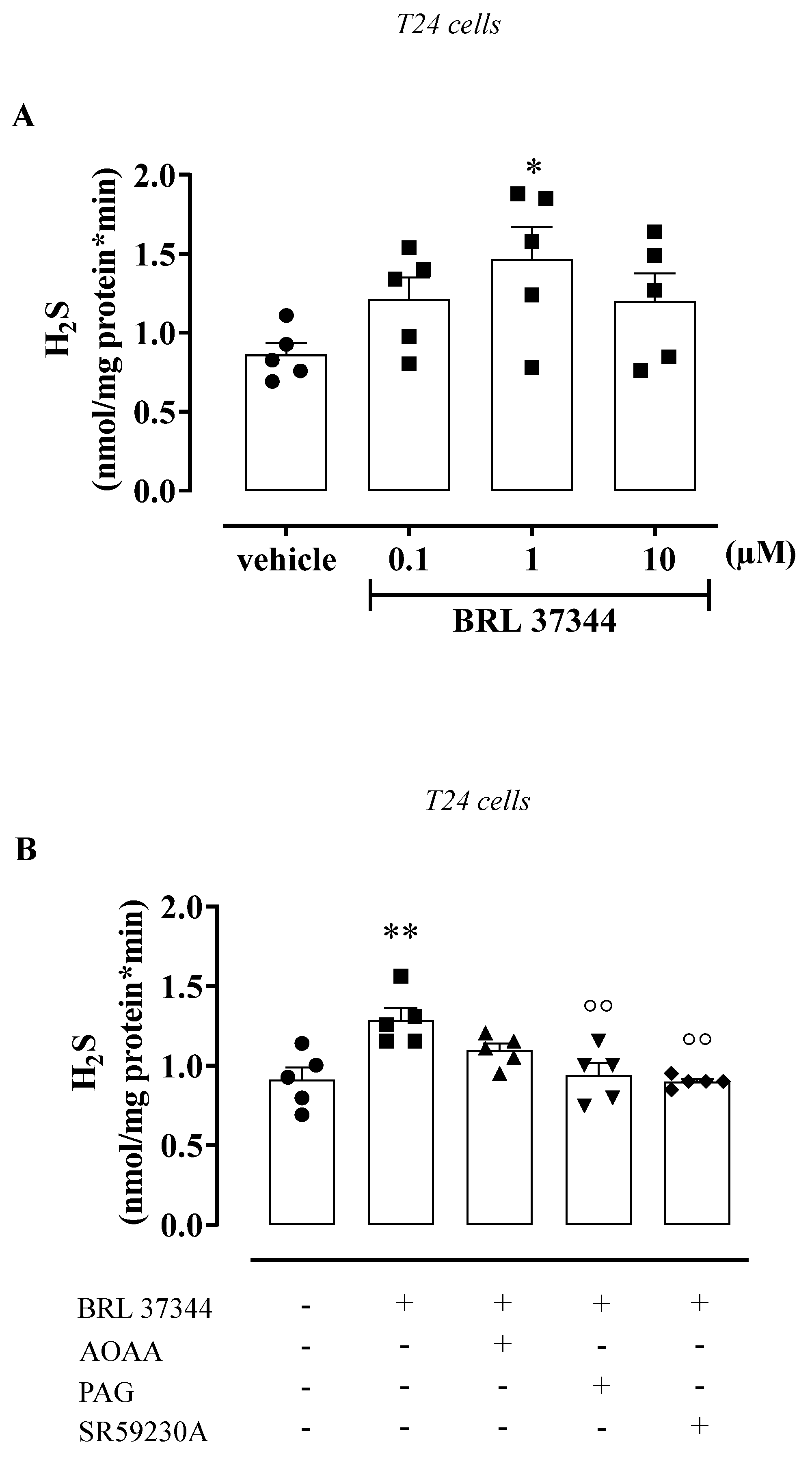 Antioxidants 11 01480 g004
