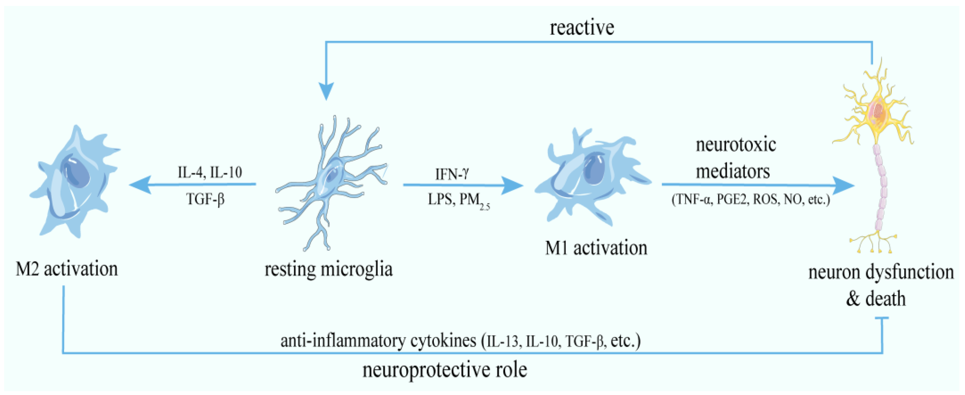 Antioxidants 11 01482 g001