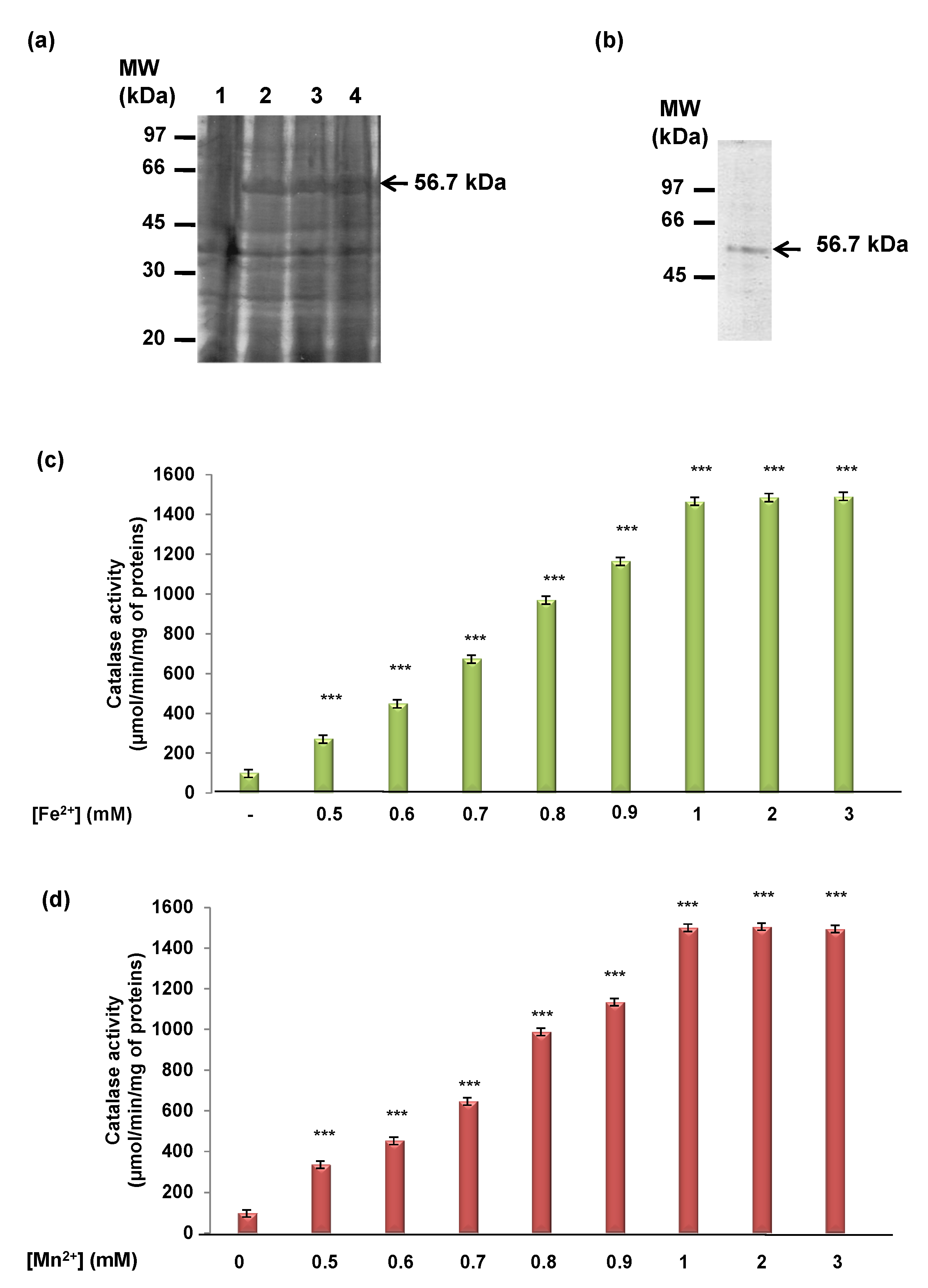 Antioxidants 11 01483 g001