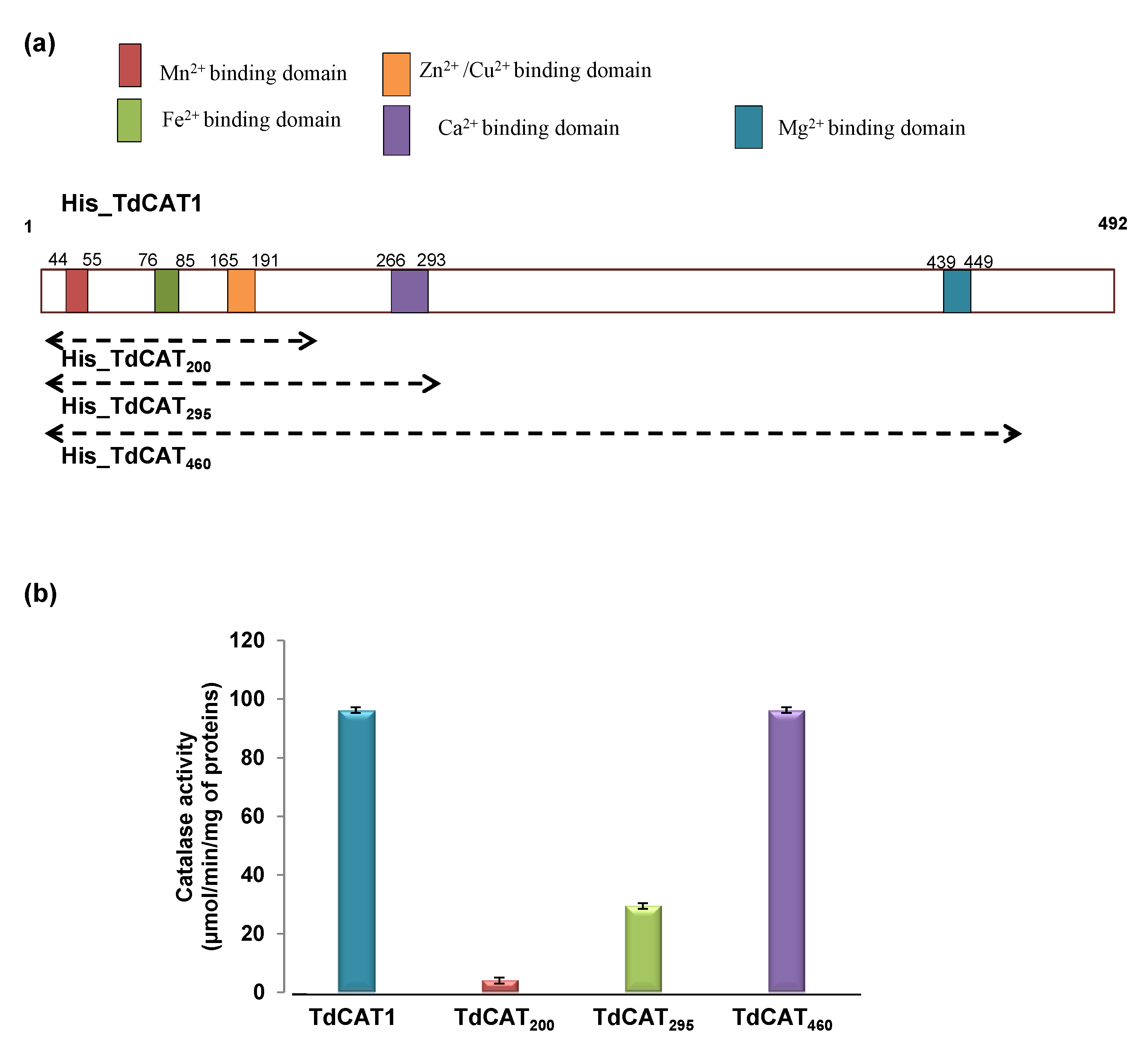 Antioxidants 11 01483 g002