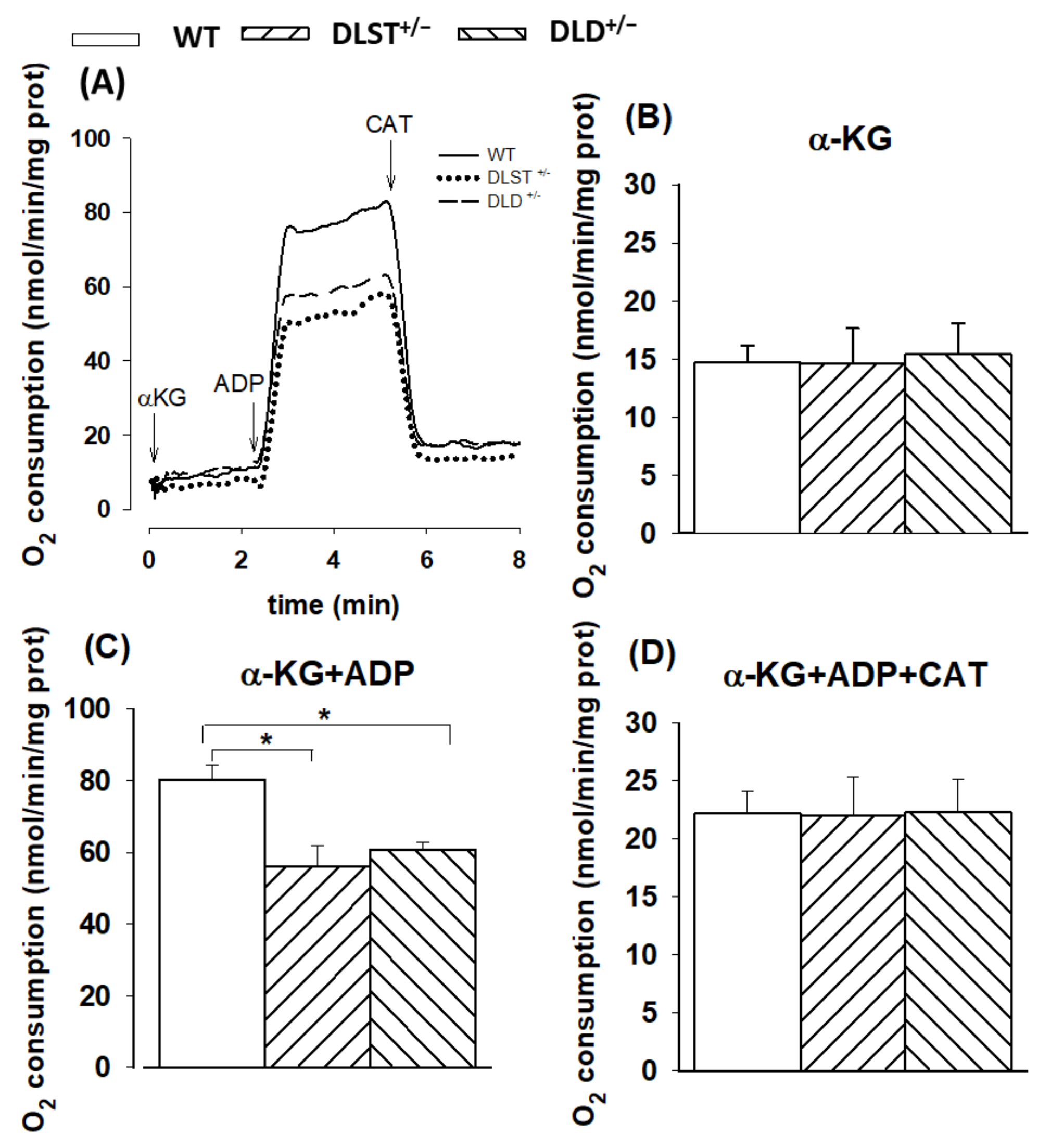 Antioxidants 11 01487 g001
