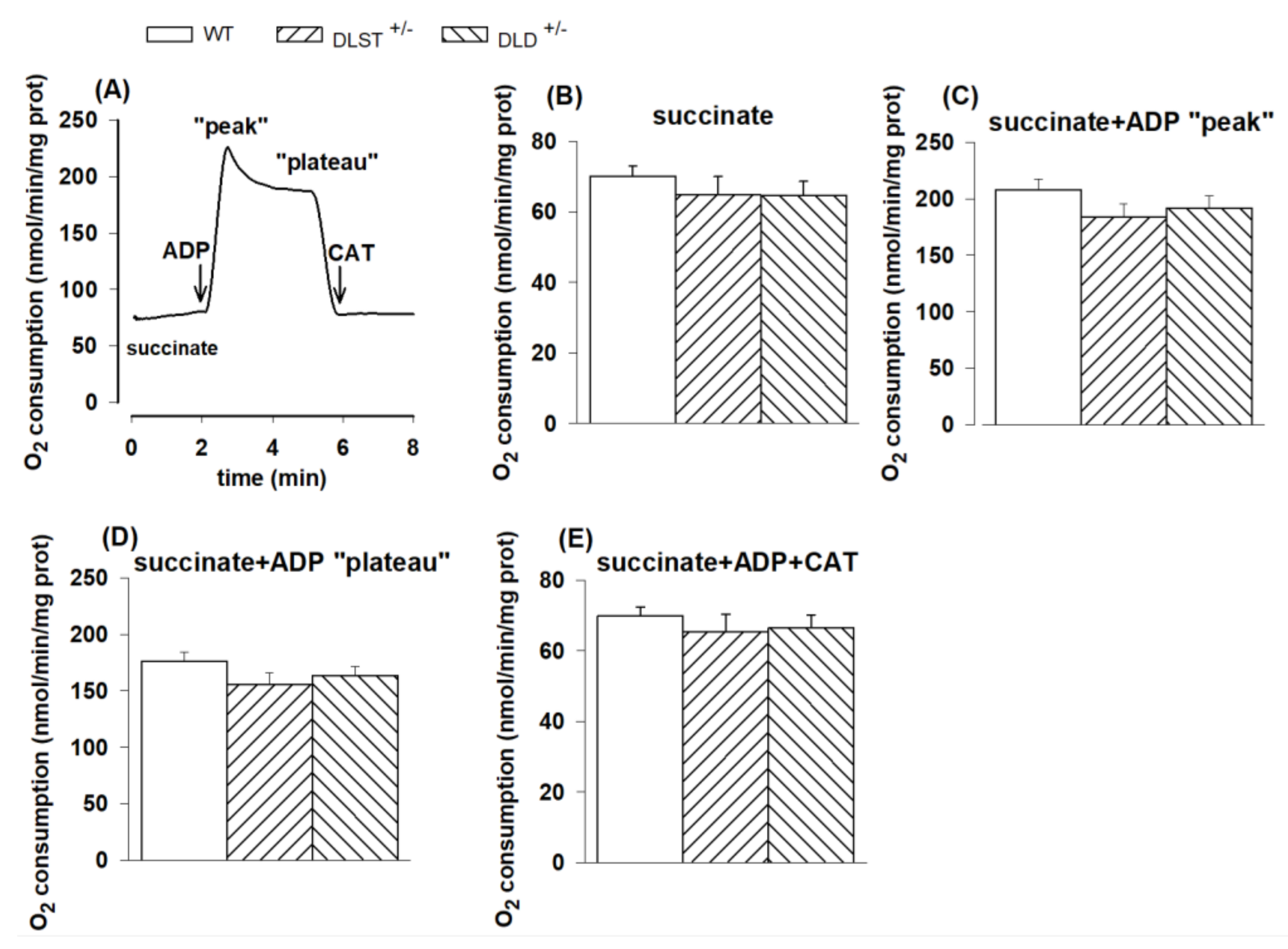 Antioxidants 11 01487 g002