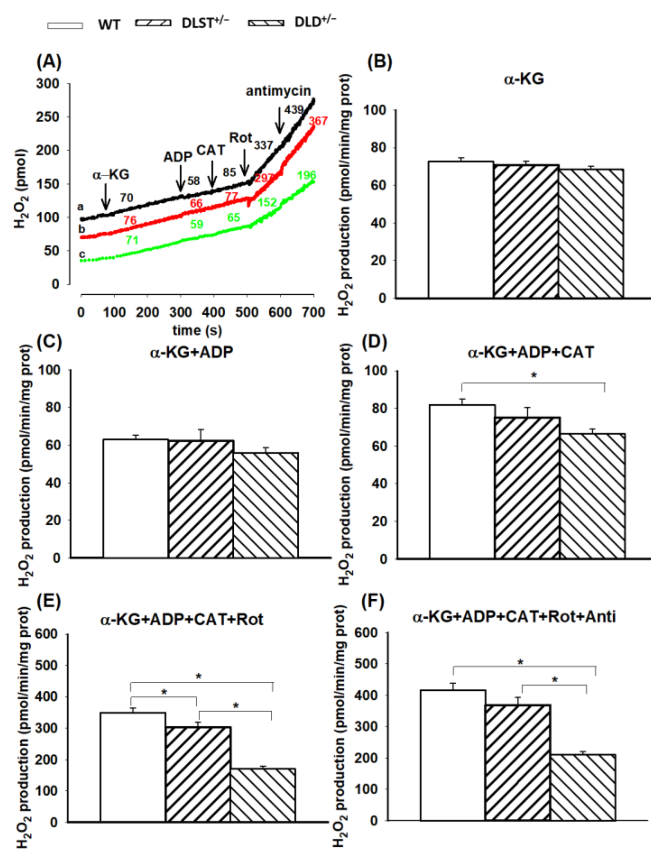 Antioxidants 11 01487 g004