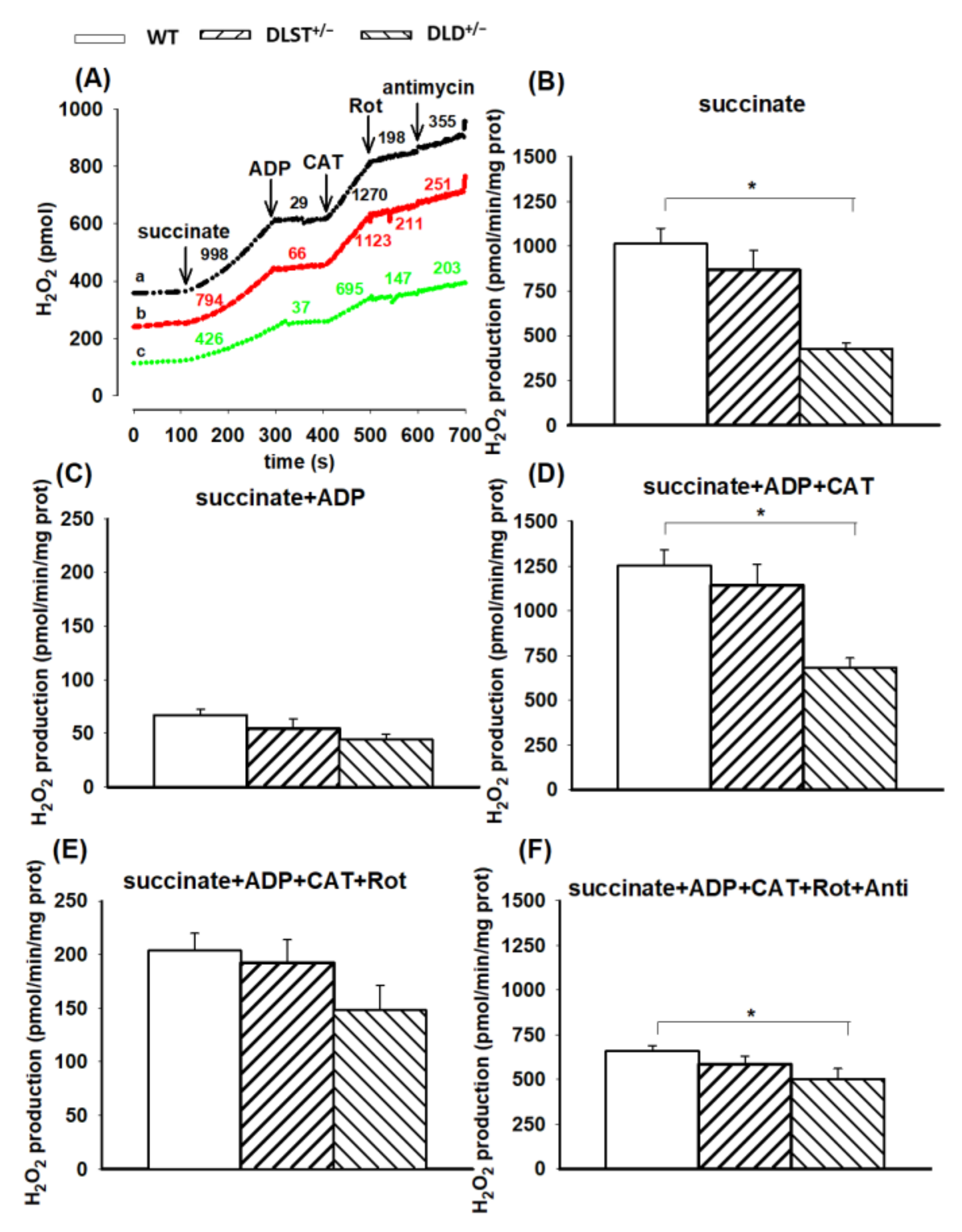 Antioxidants 11 01487 g005