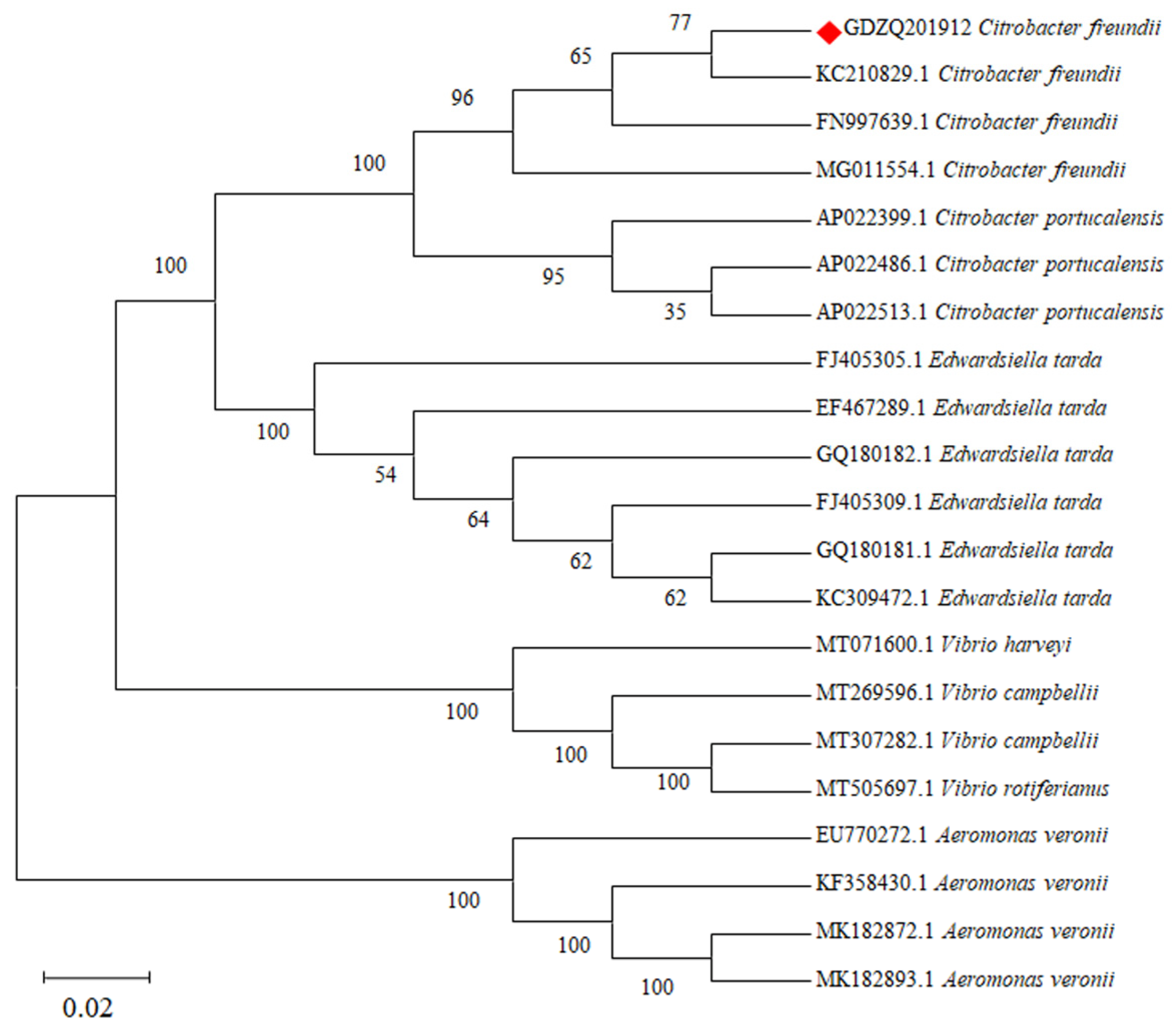 Antioxidants 11 01491 g003
