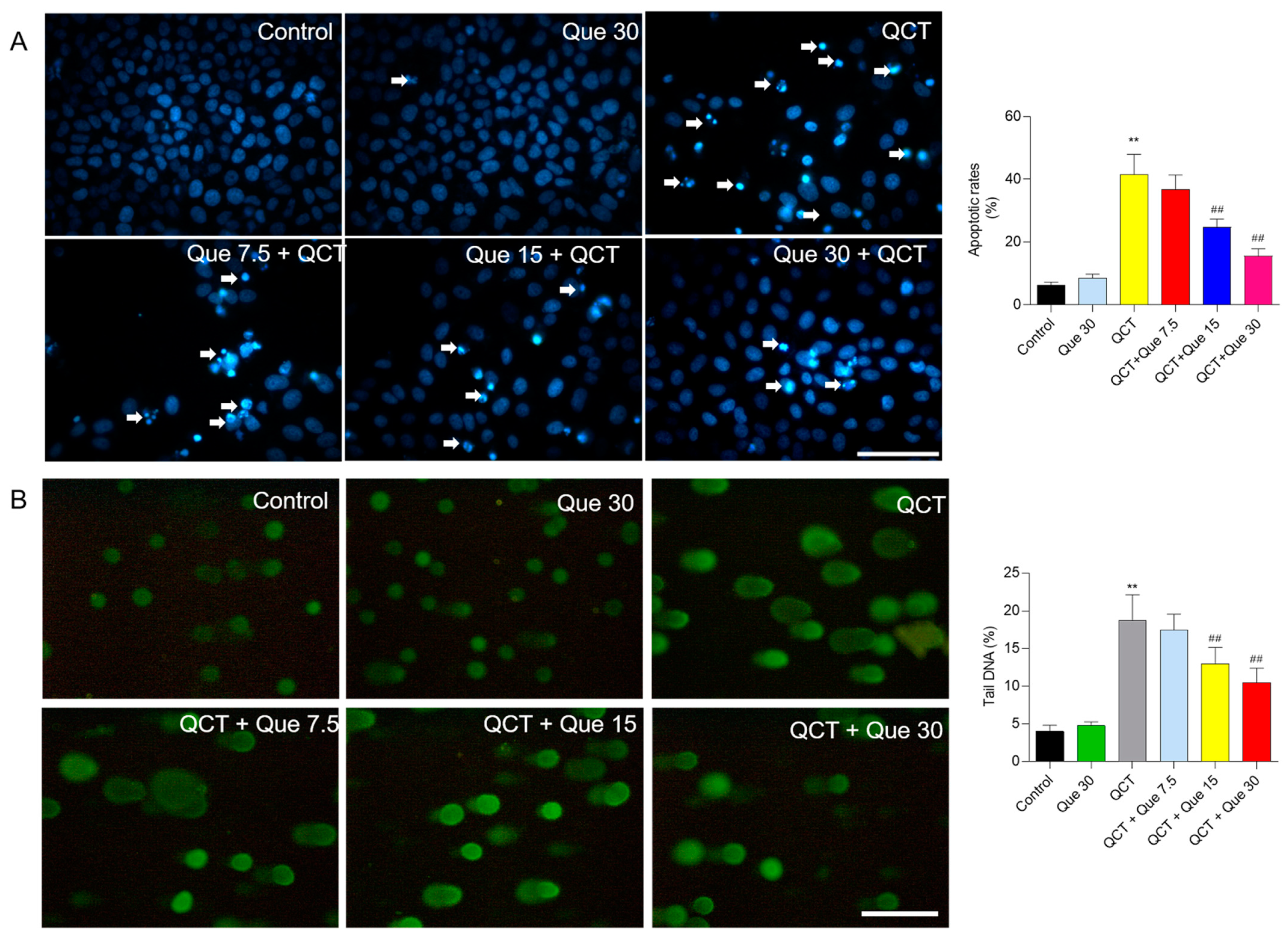 Antioxidants 11 01498 g003
