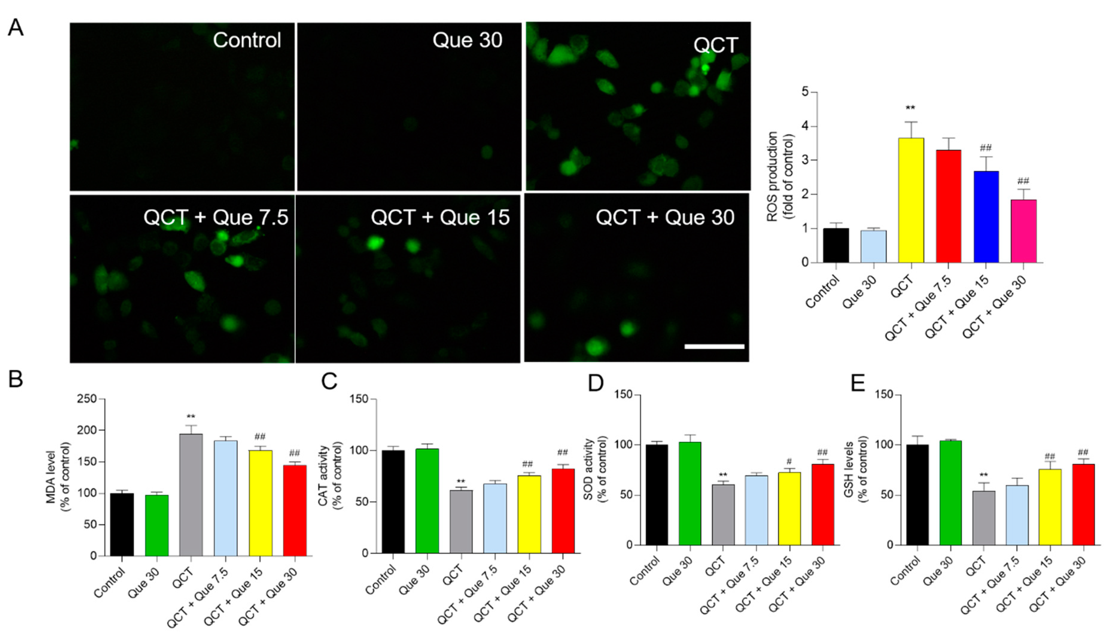 Antioxidants 11 01498 g004