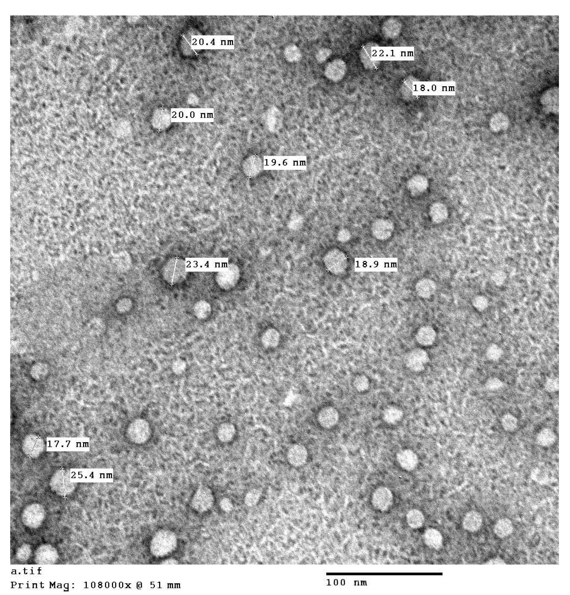 Antioxidants 11 01499 g001
