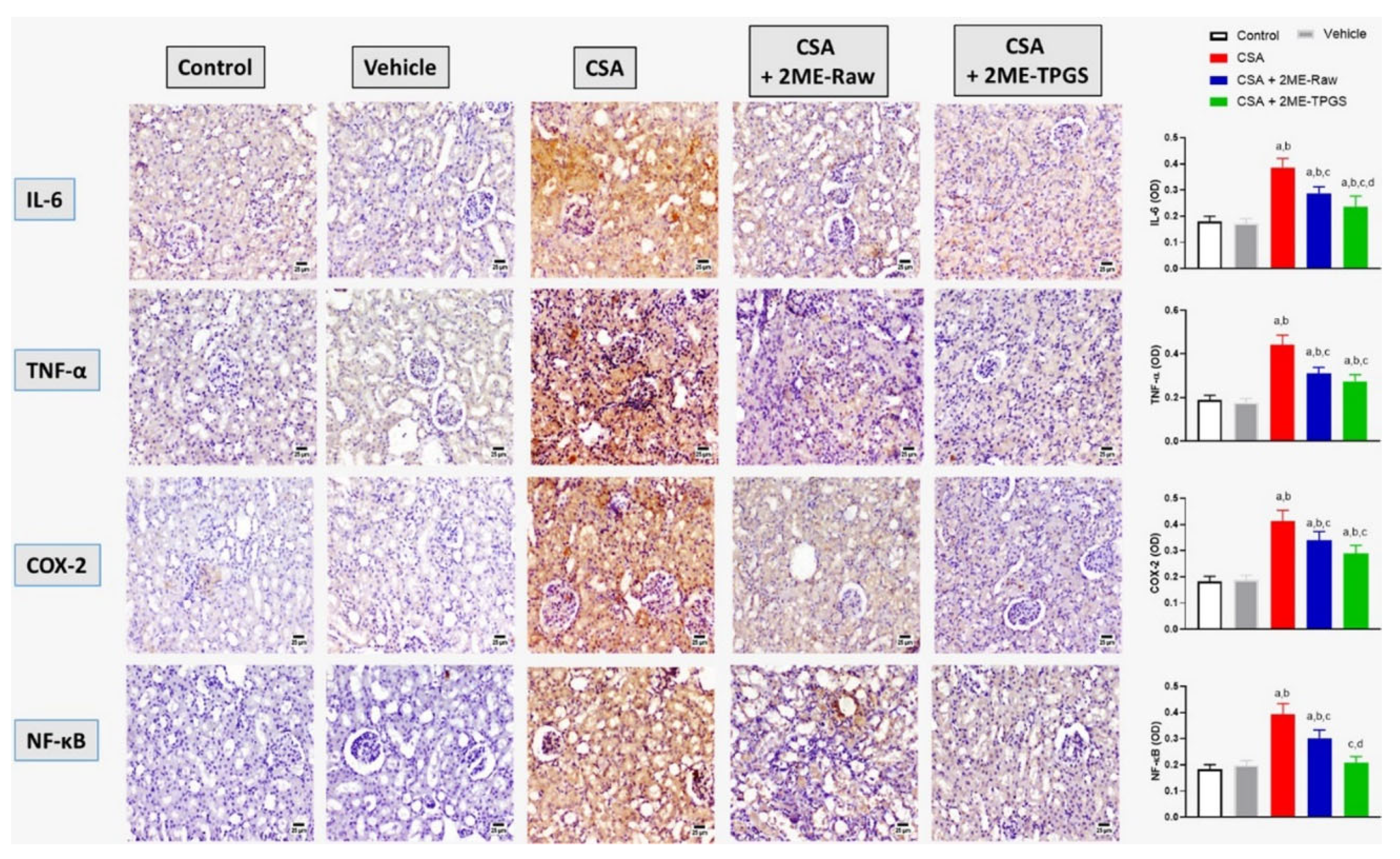 Antioxidants 11 01499 g005