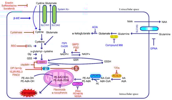 Antioxidants 11 01504 g001 550