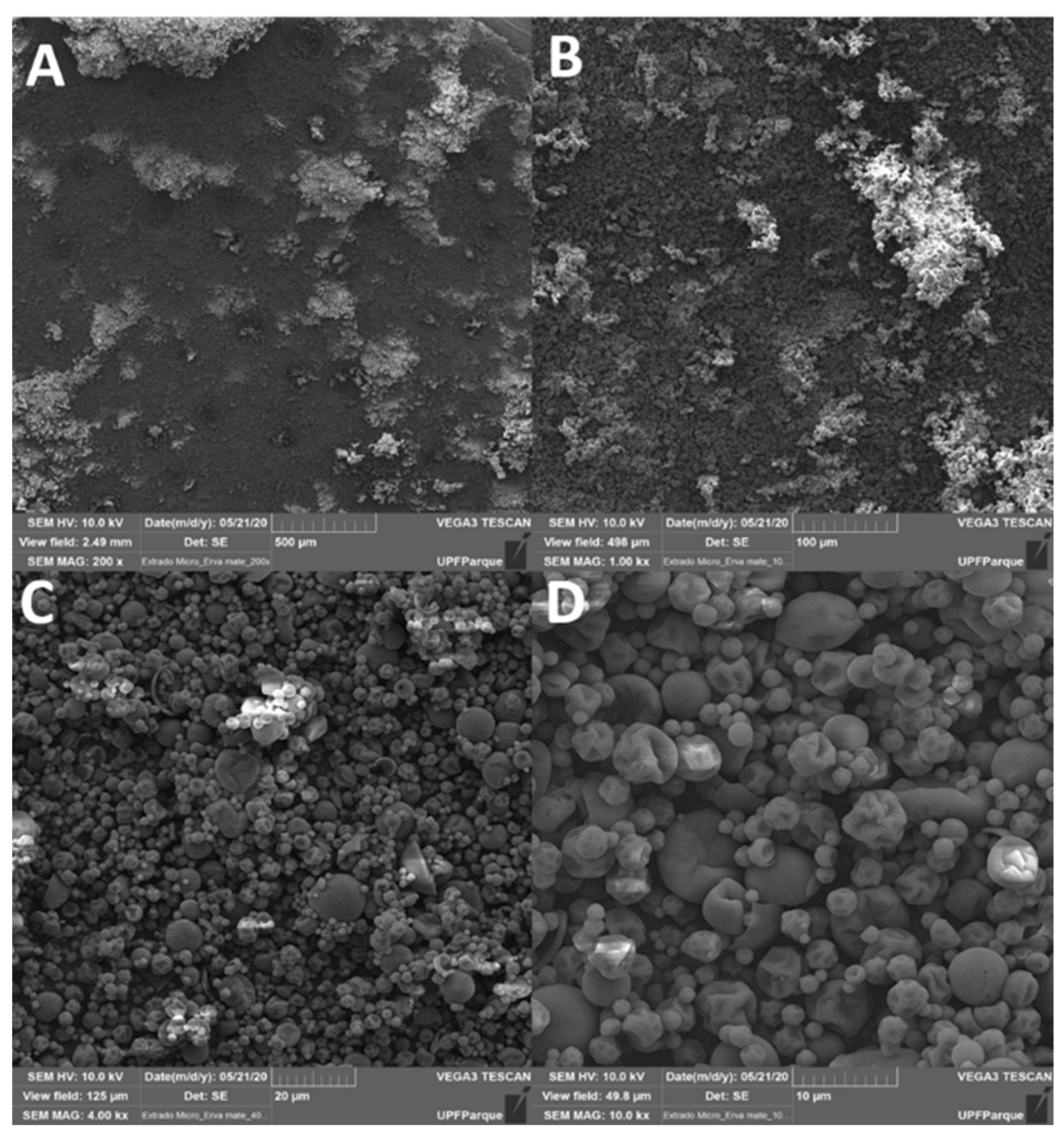 Antioxidants 11 01507 g001