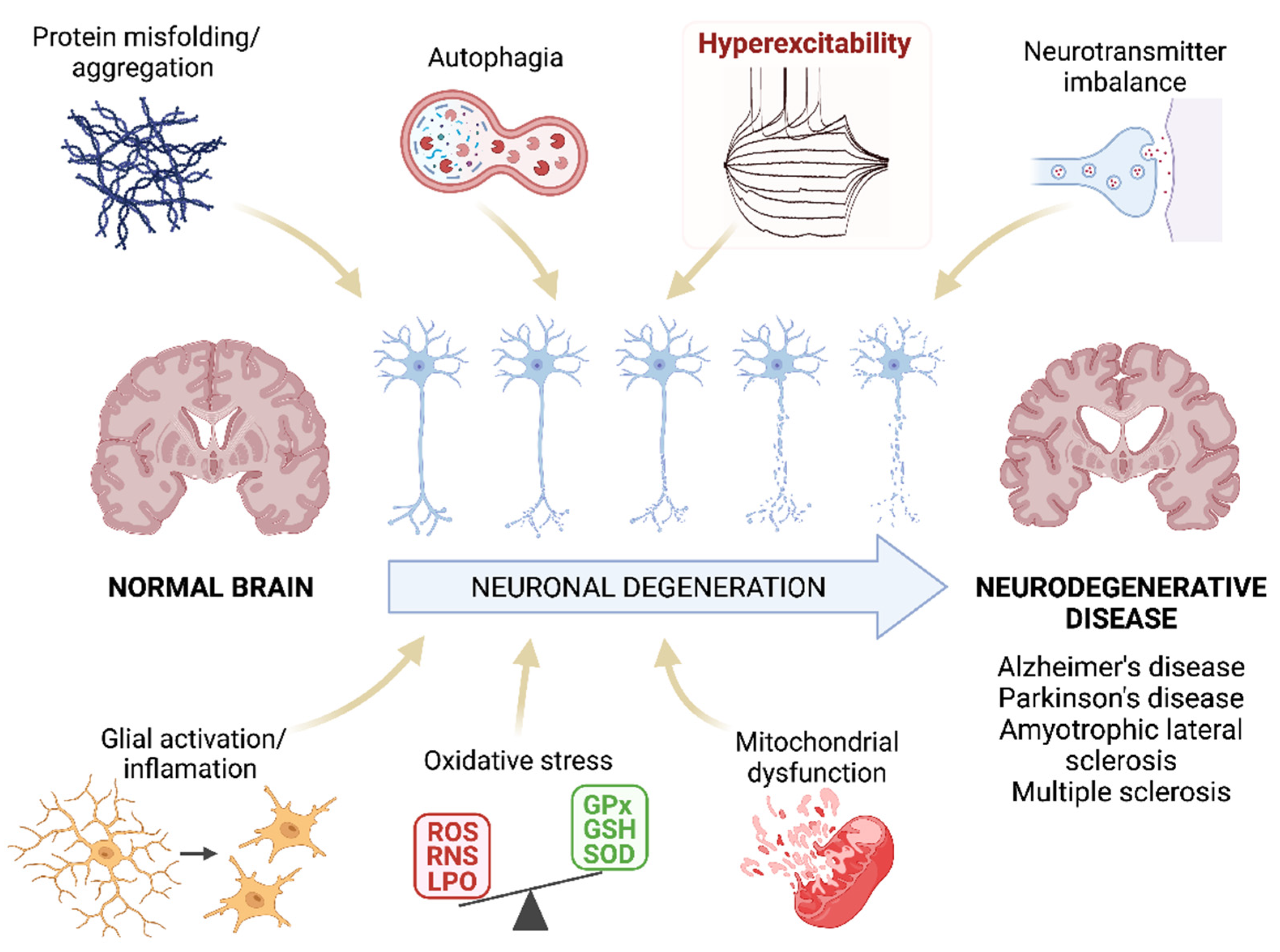 Antioxidants 11 01511 g001