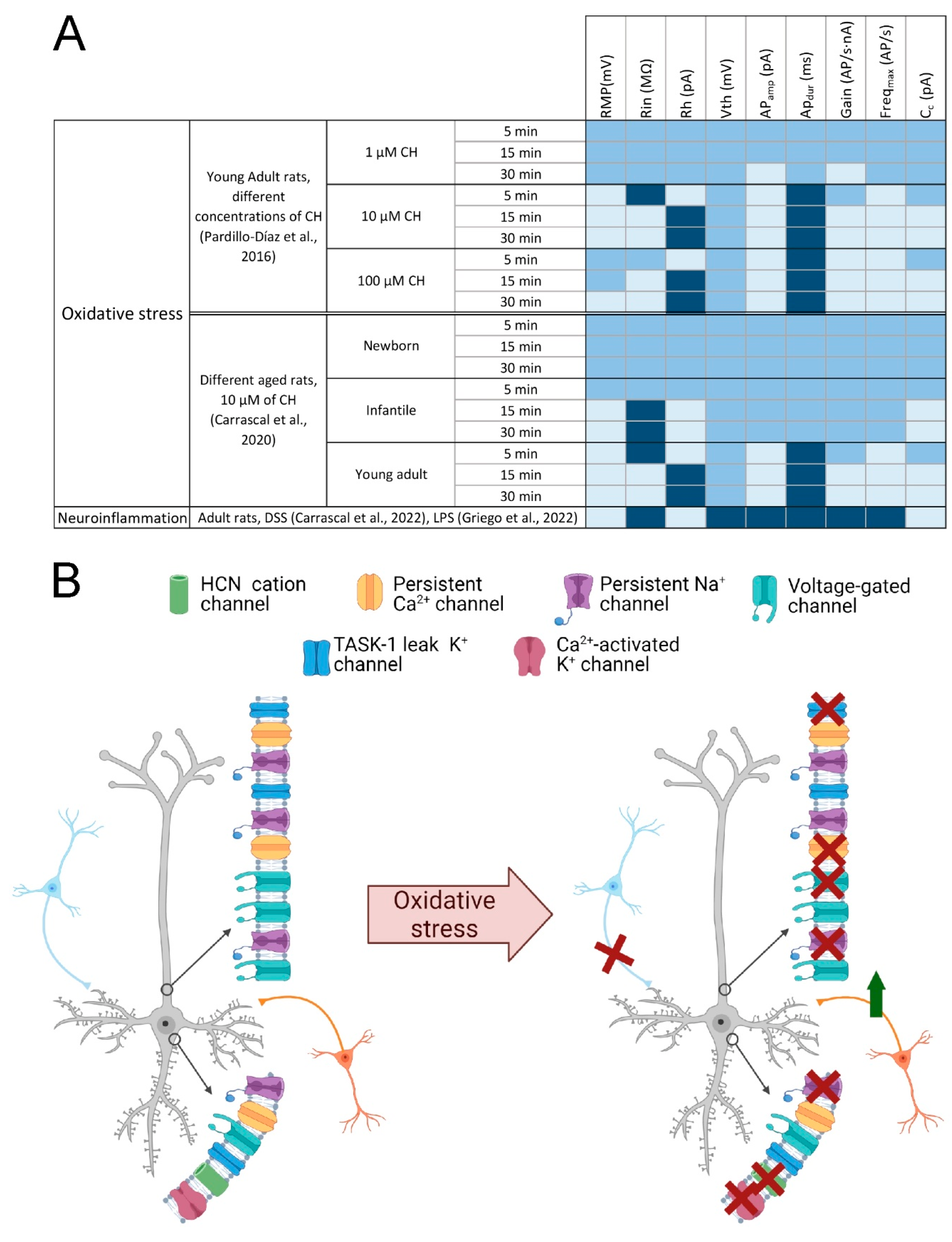 Antioxidants 11 01511 g003