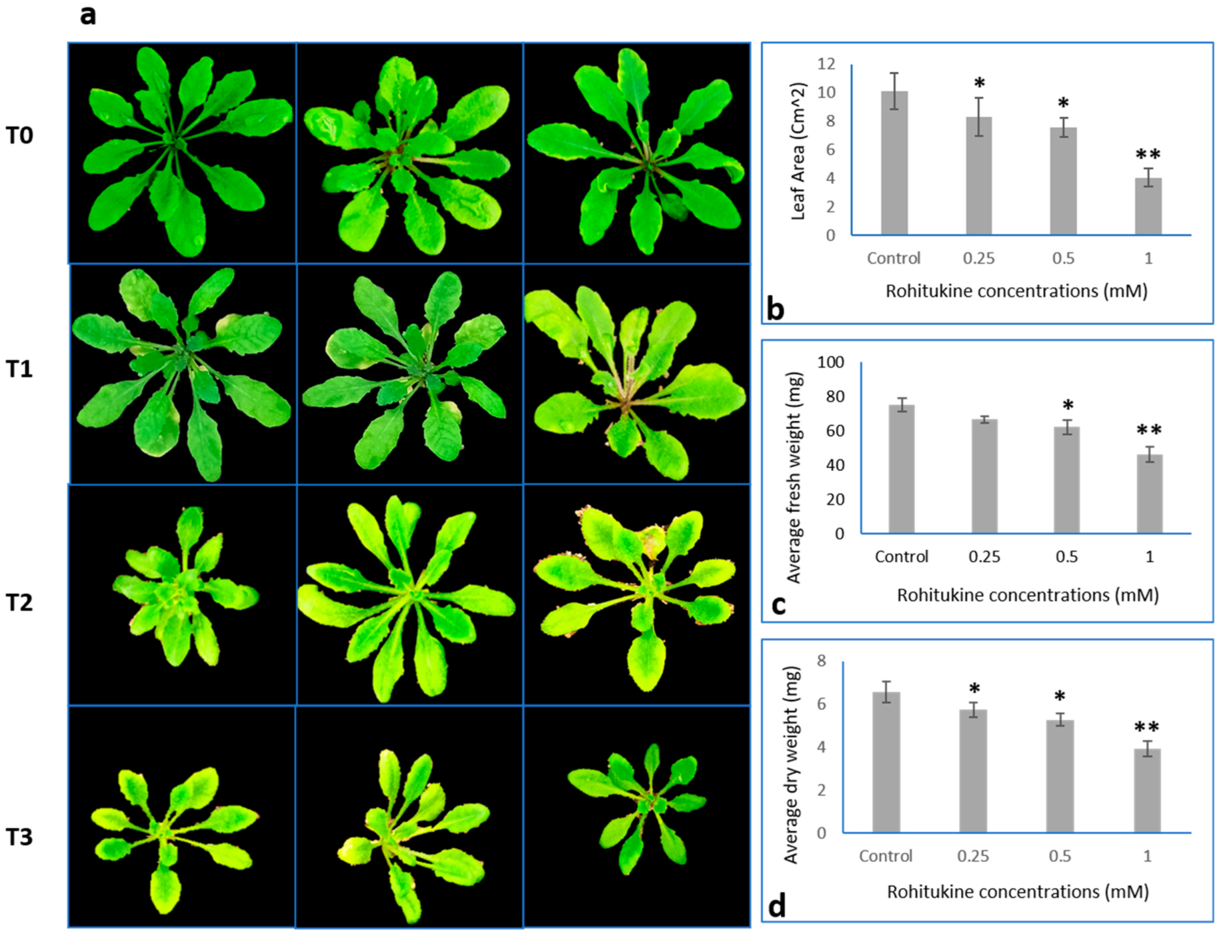 Antioxidants 11 01512 g003