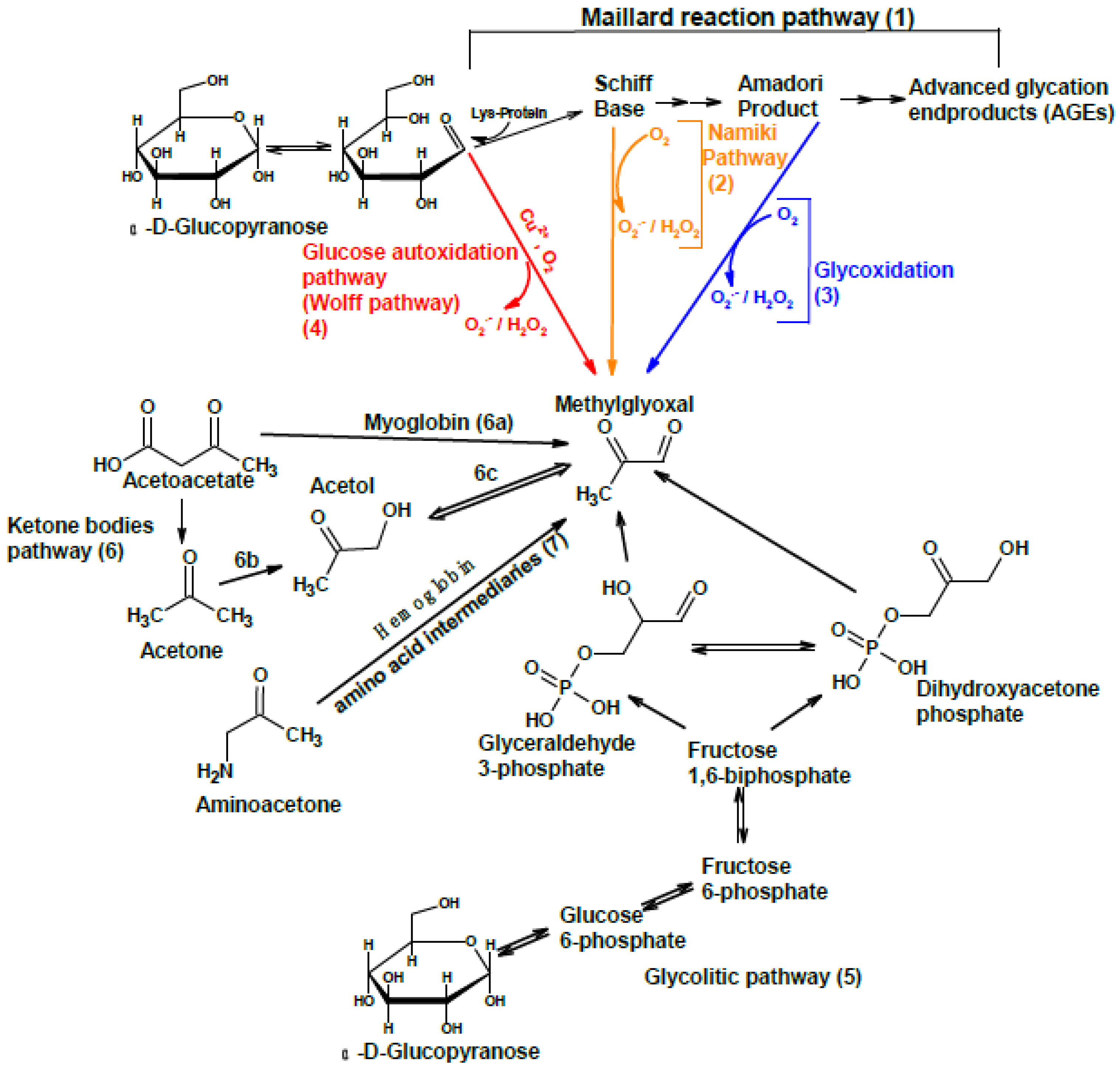 Antioxidants 11 01513 g002
