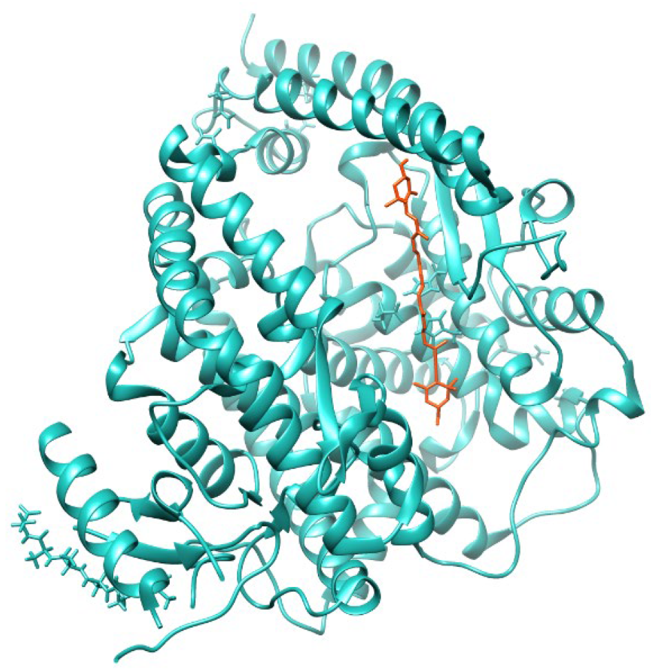 Antioxidants 11 01515 g002