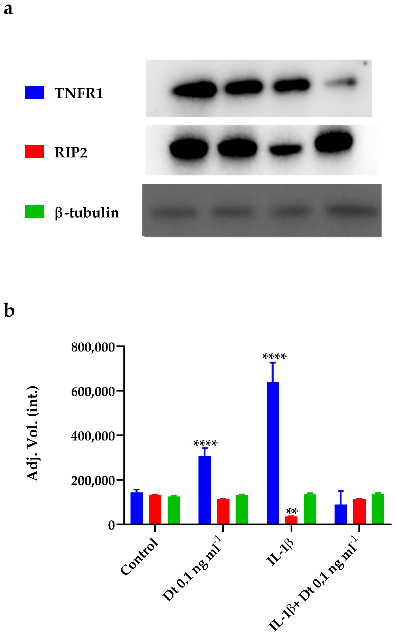 Antioxidants 11 01515 g005