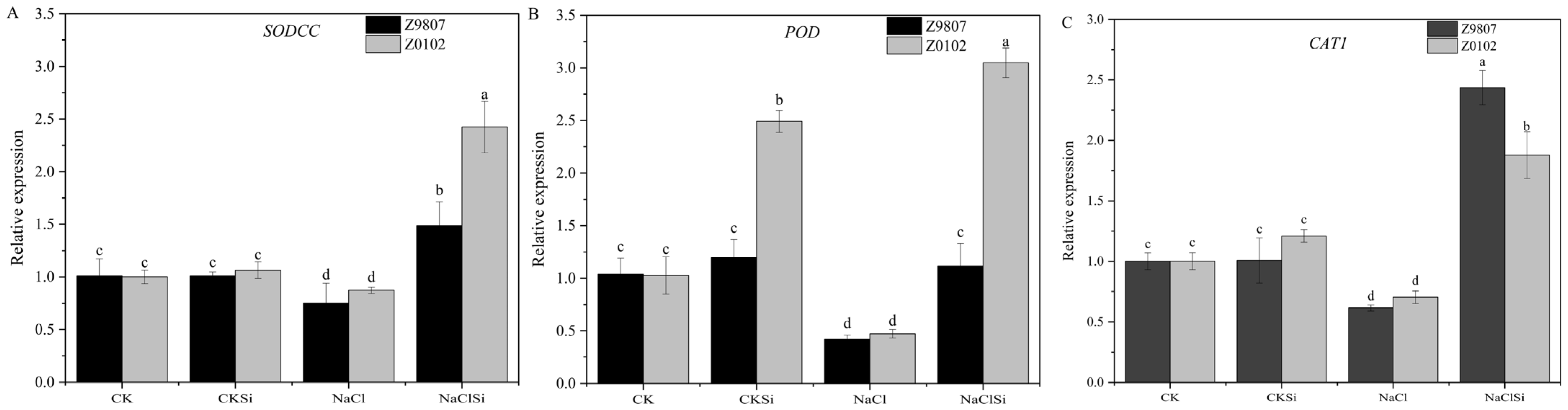 Antioxidants 11 01520 g005 Antioxidants 11 01520 g005