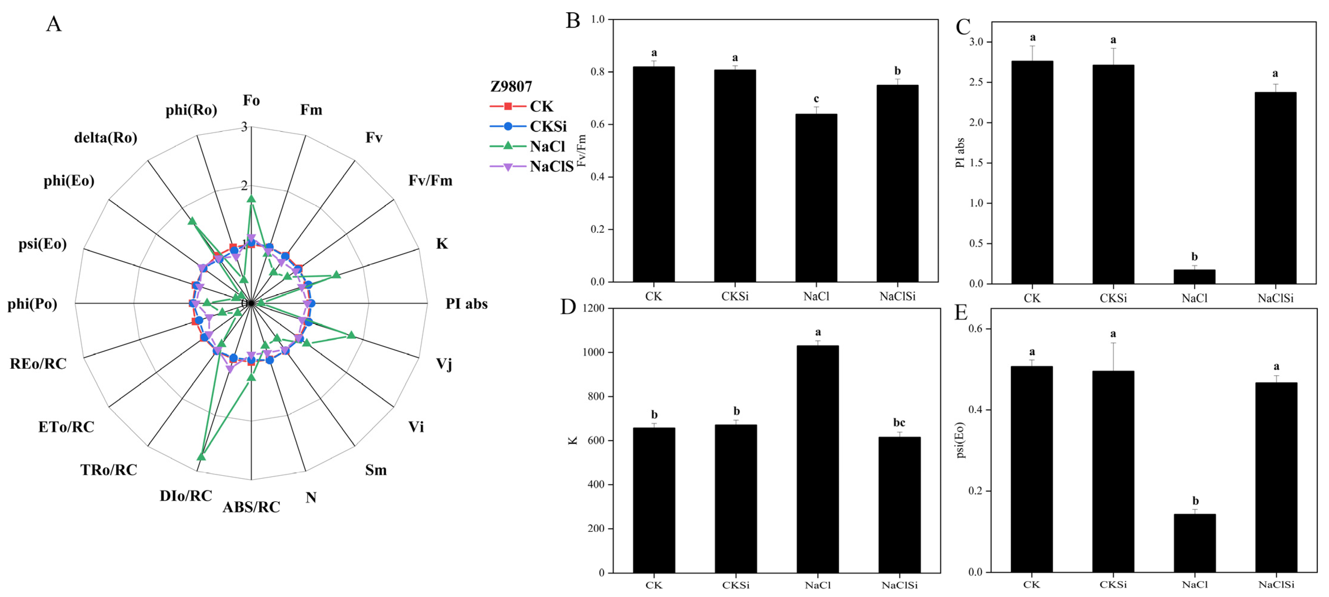 Antioxidants 11 01520 g009 Antioxidants 11 01520 g009