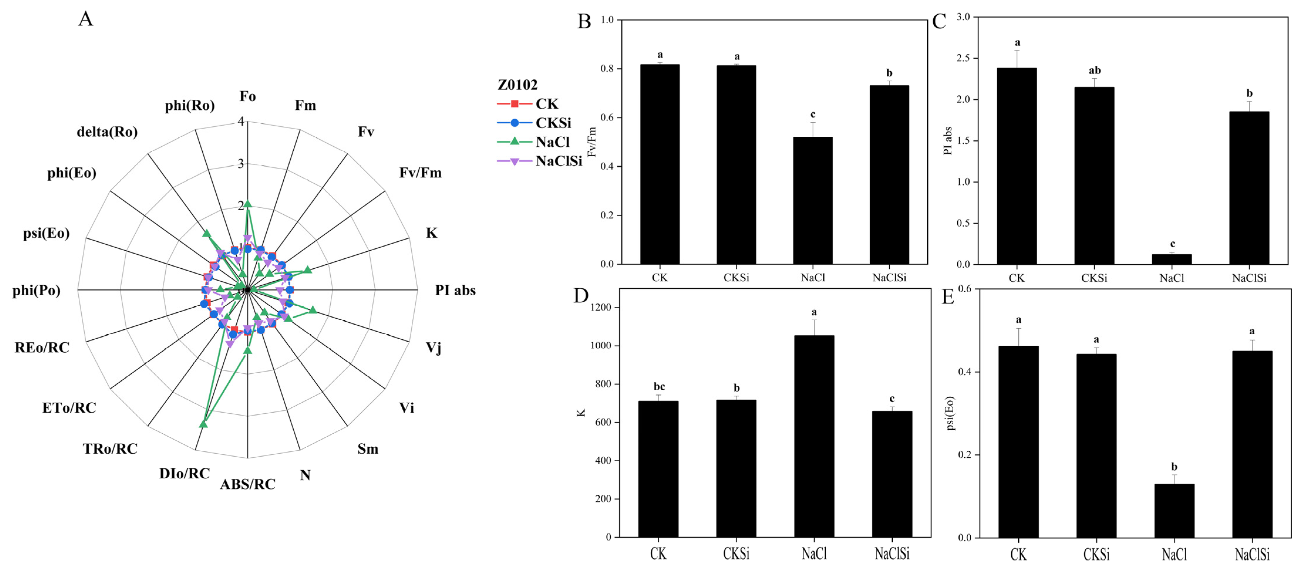 Antioxidants 11 01520 g010 Antioxidants 11 01520 g010