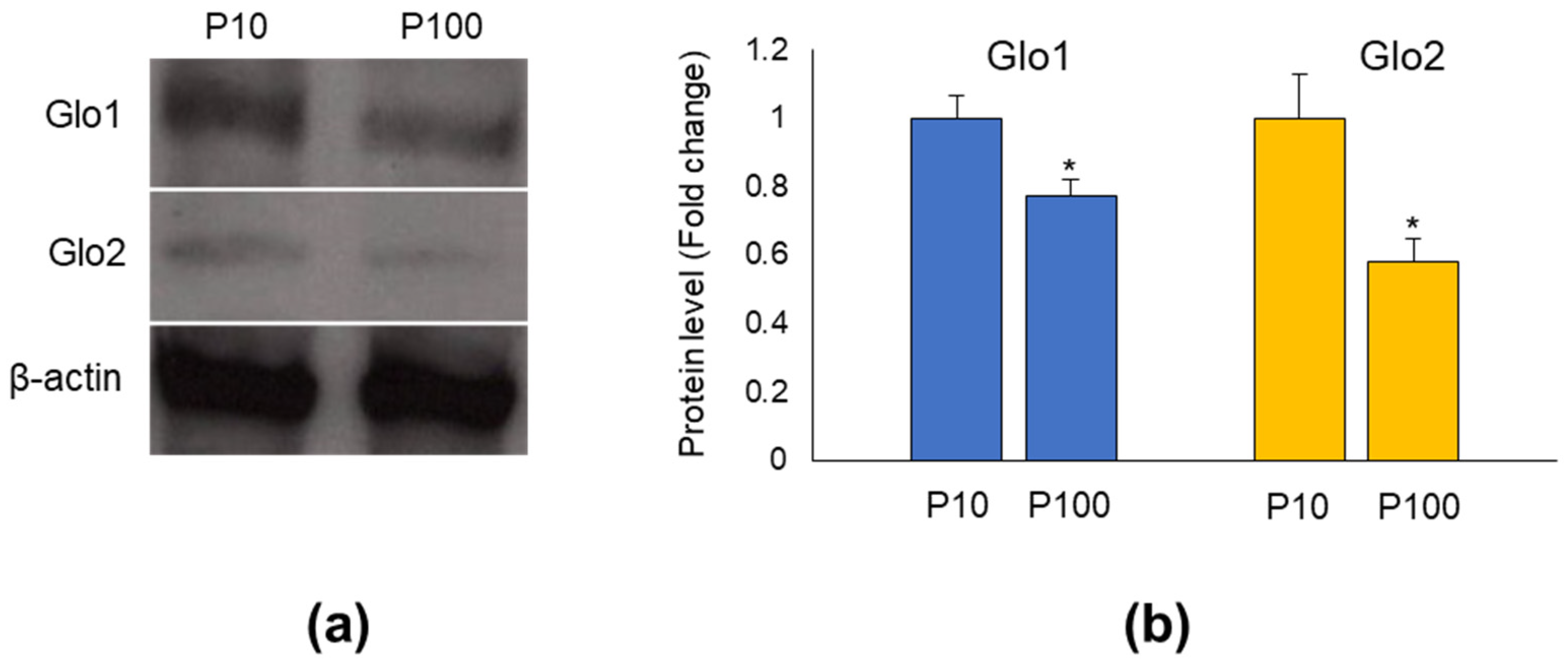 Antioxidants 11 01524 g001