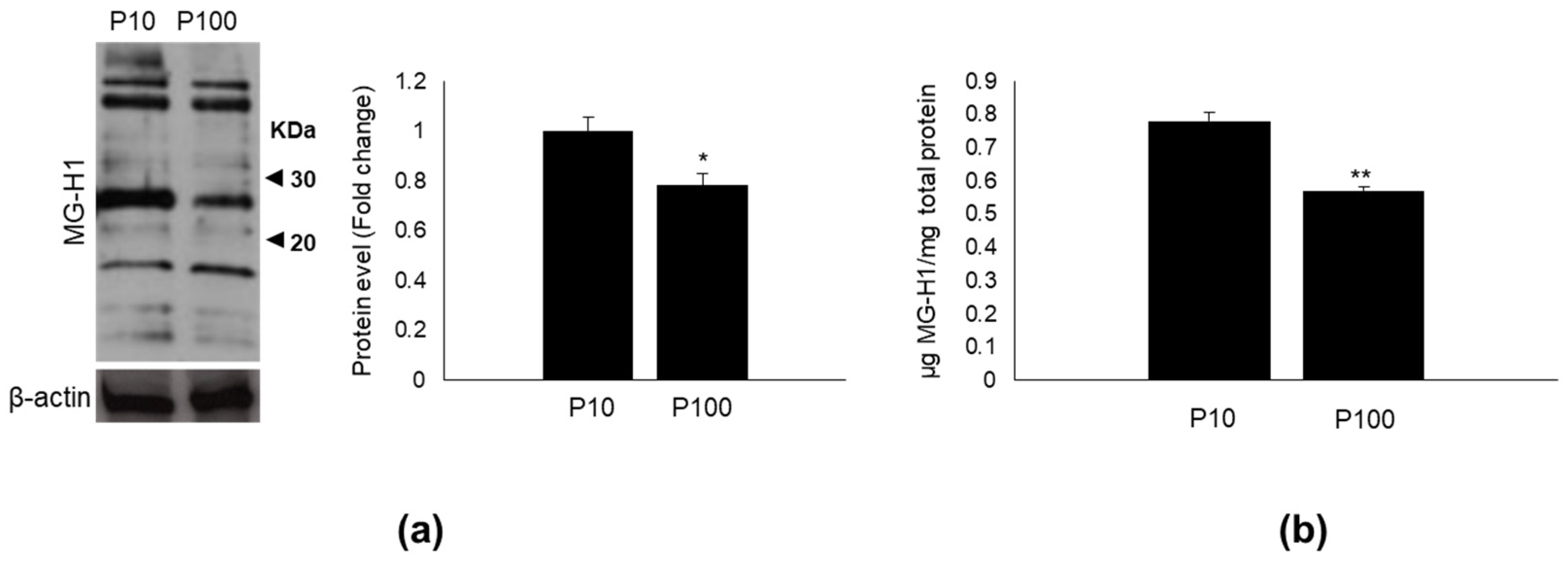 Antioxidants 11 01524 g003