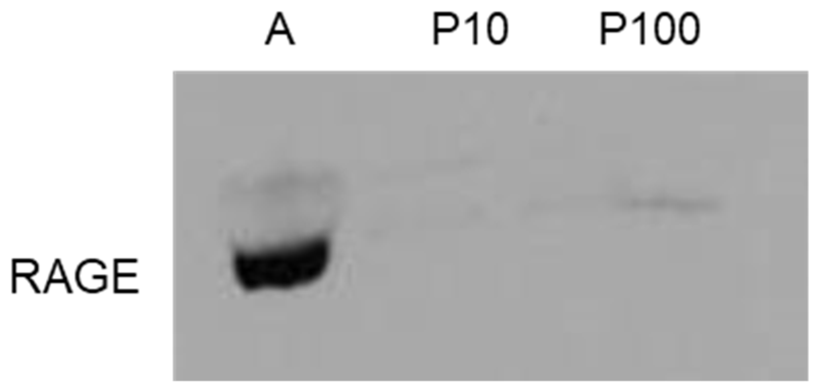 Antioxidants 11 01524 g004