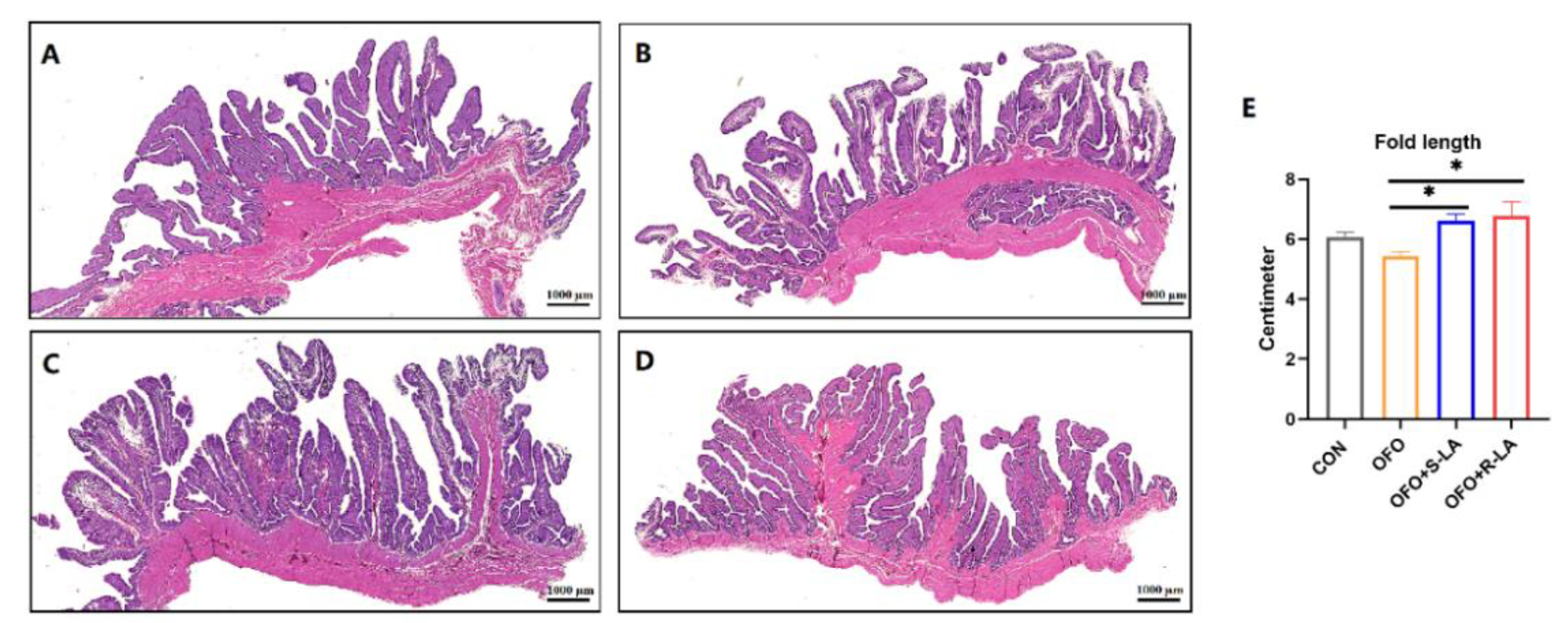 Antioxidants 11 01530 g006
