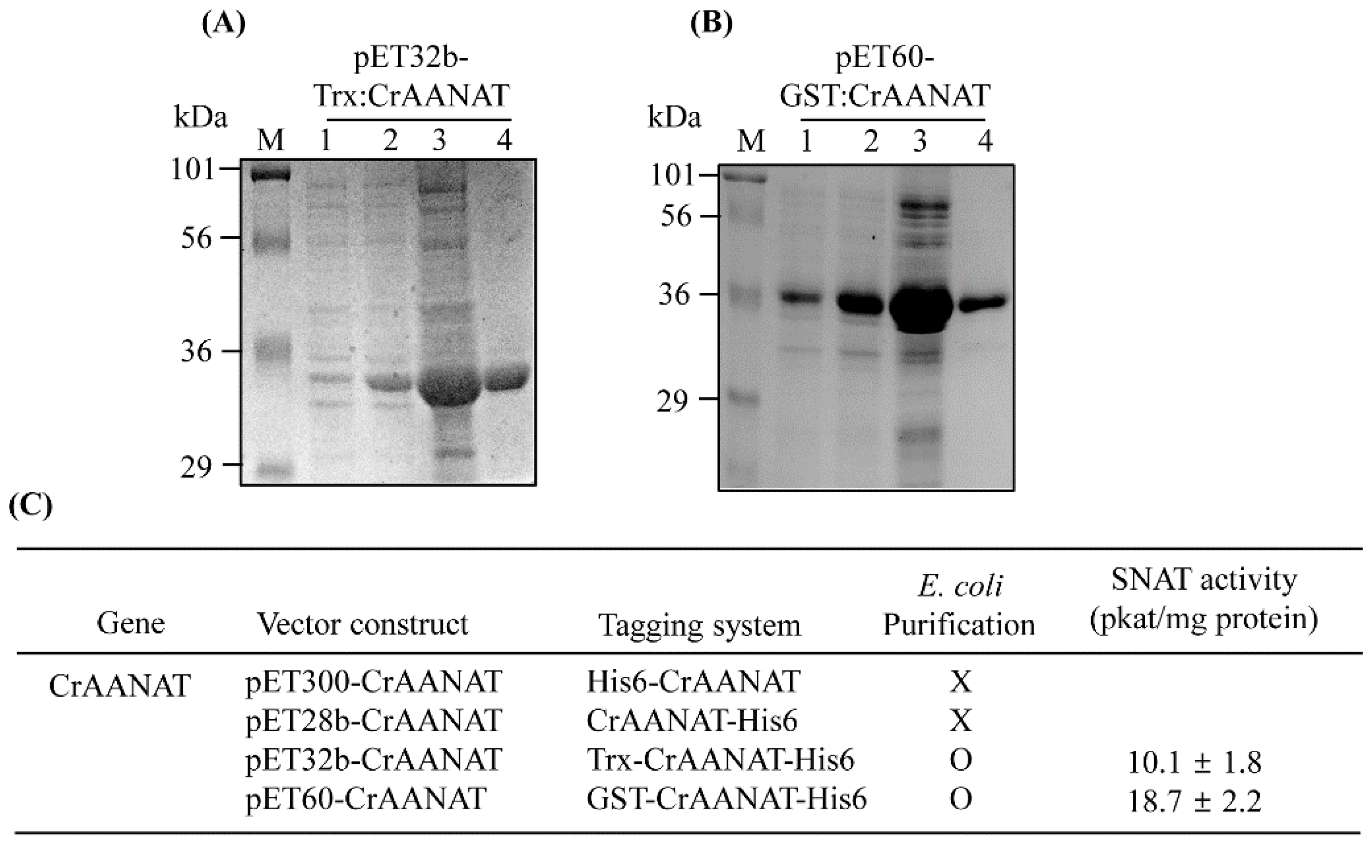 Antioxidants 11 01531 g003