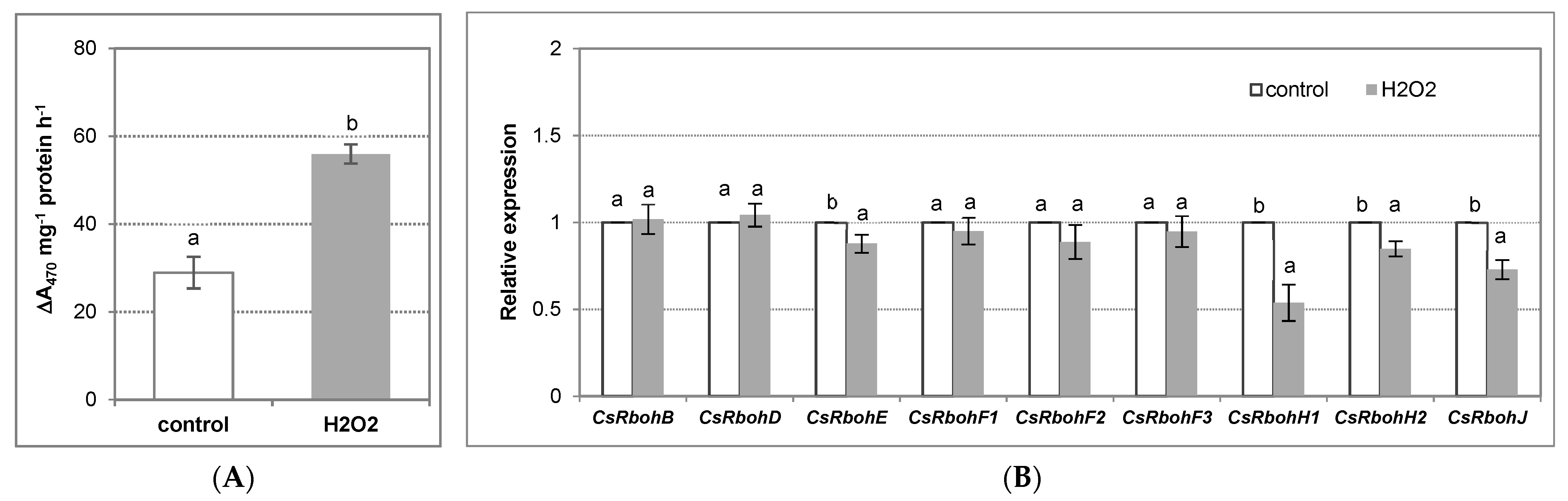 Antioxidants 11 01534 g007