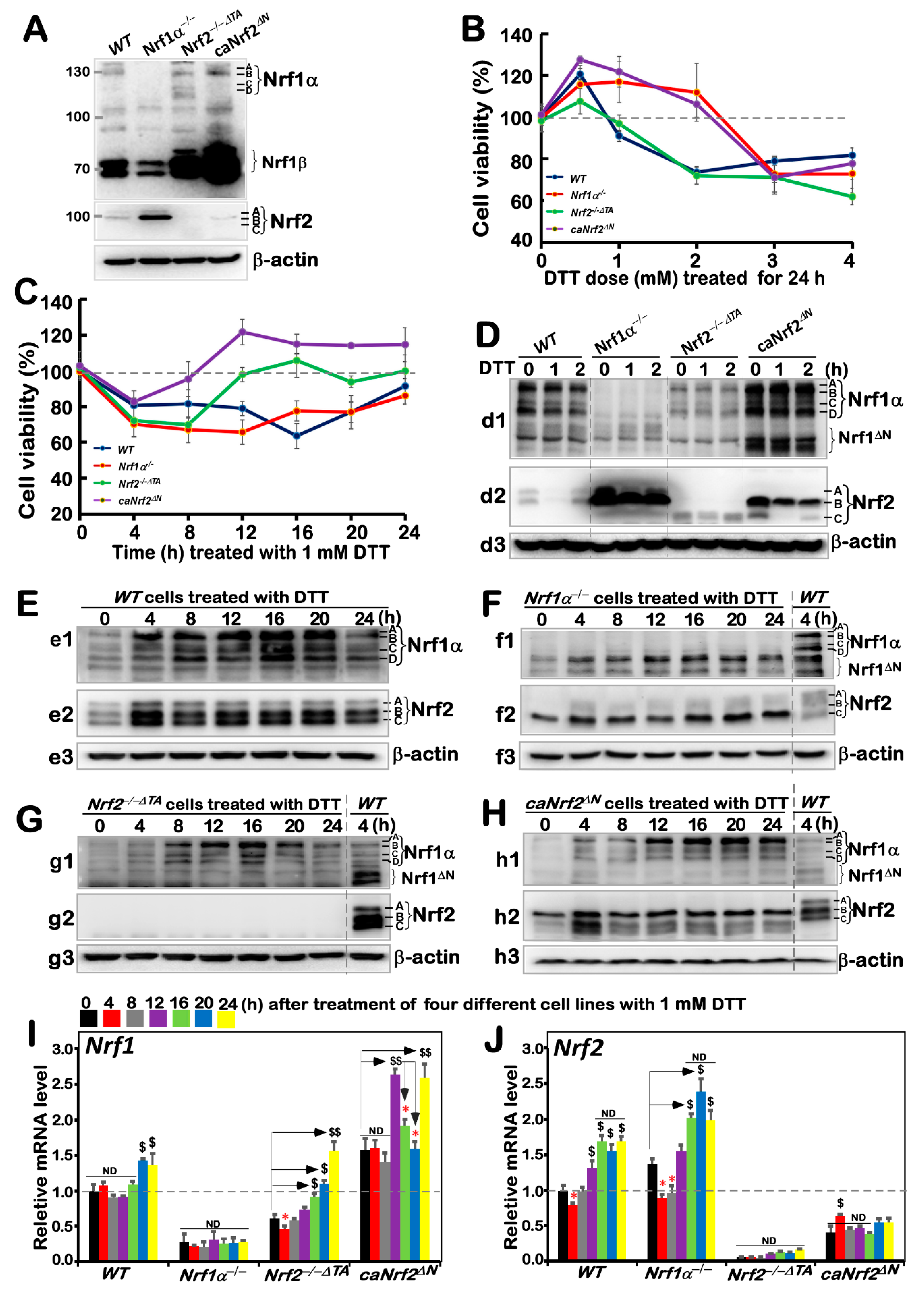 Antioxidants 11 01535 g001