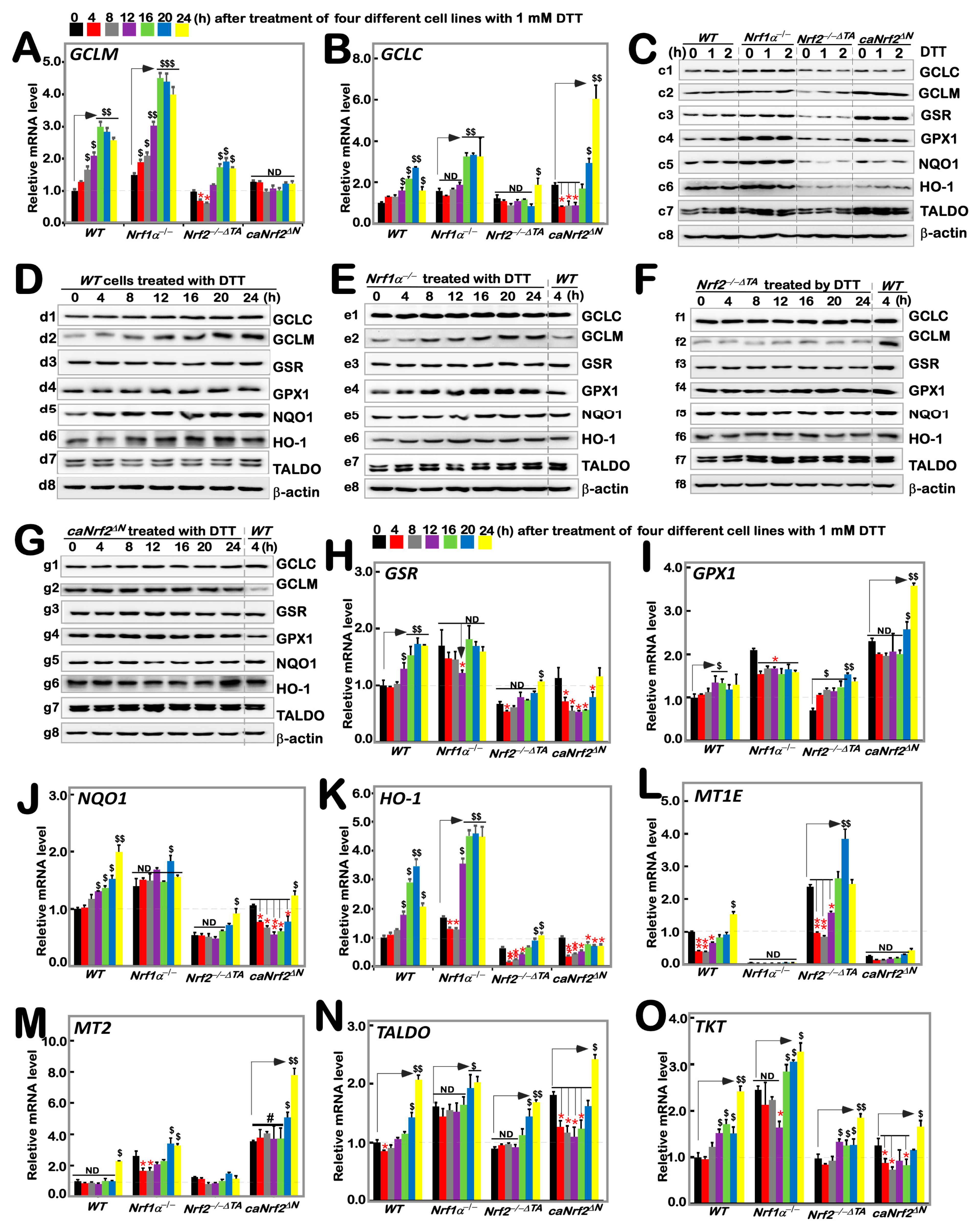 Antioxidants 11 01535 g002