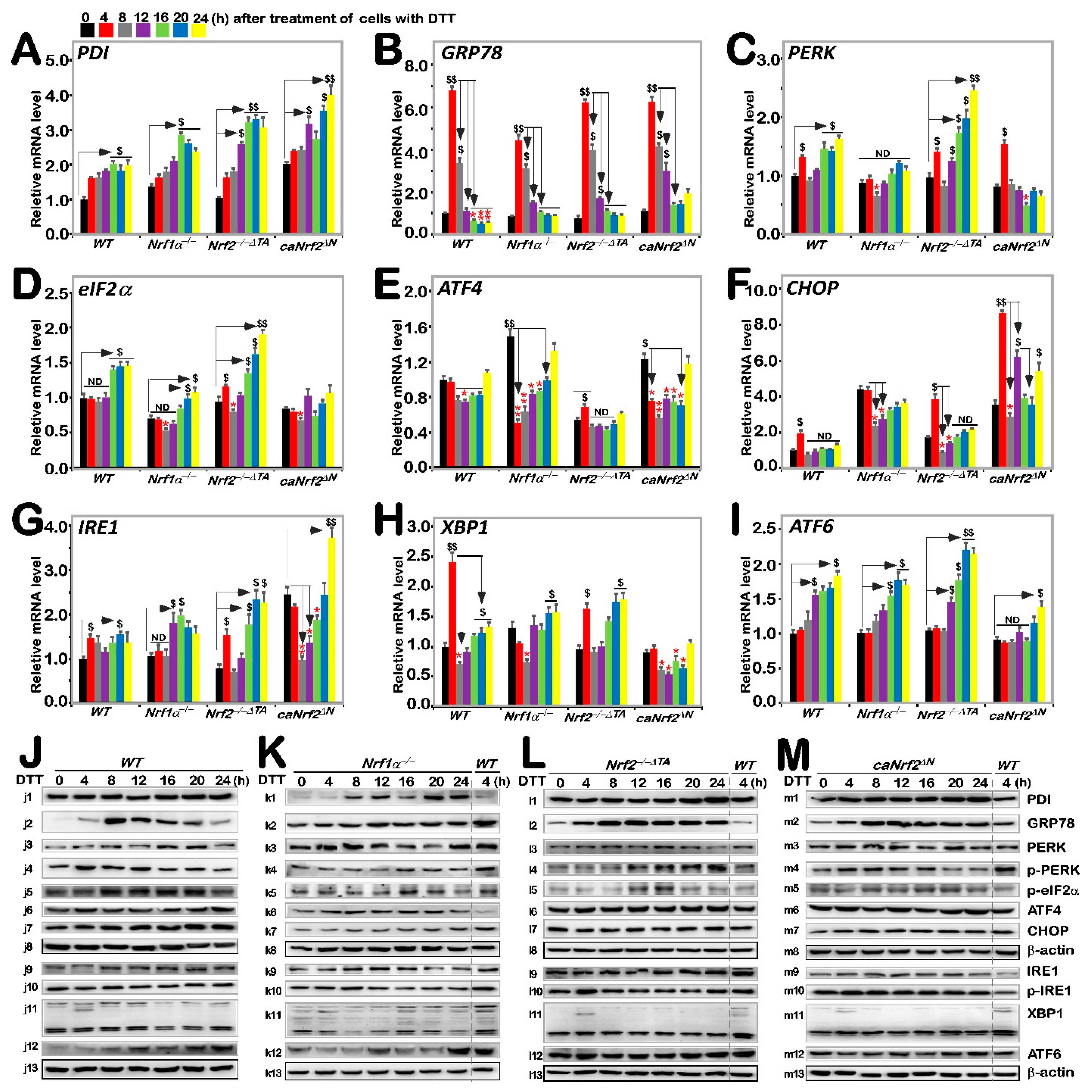 Antioxidants 11 01535 g003