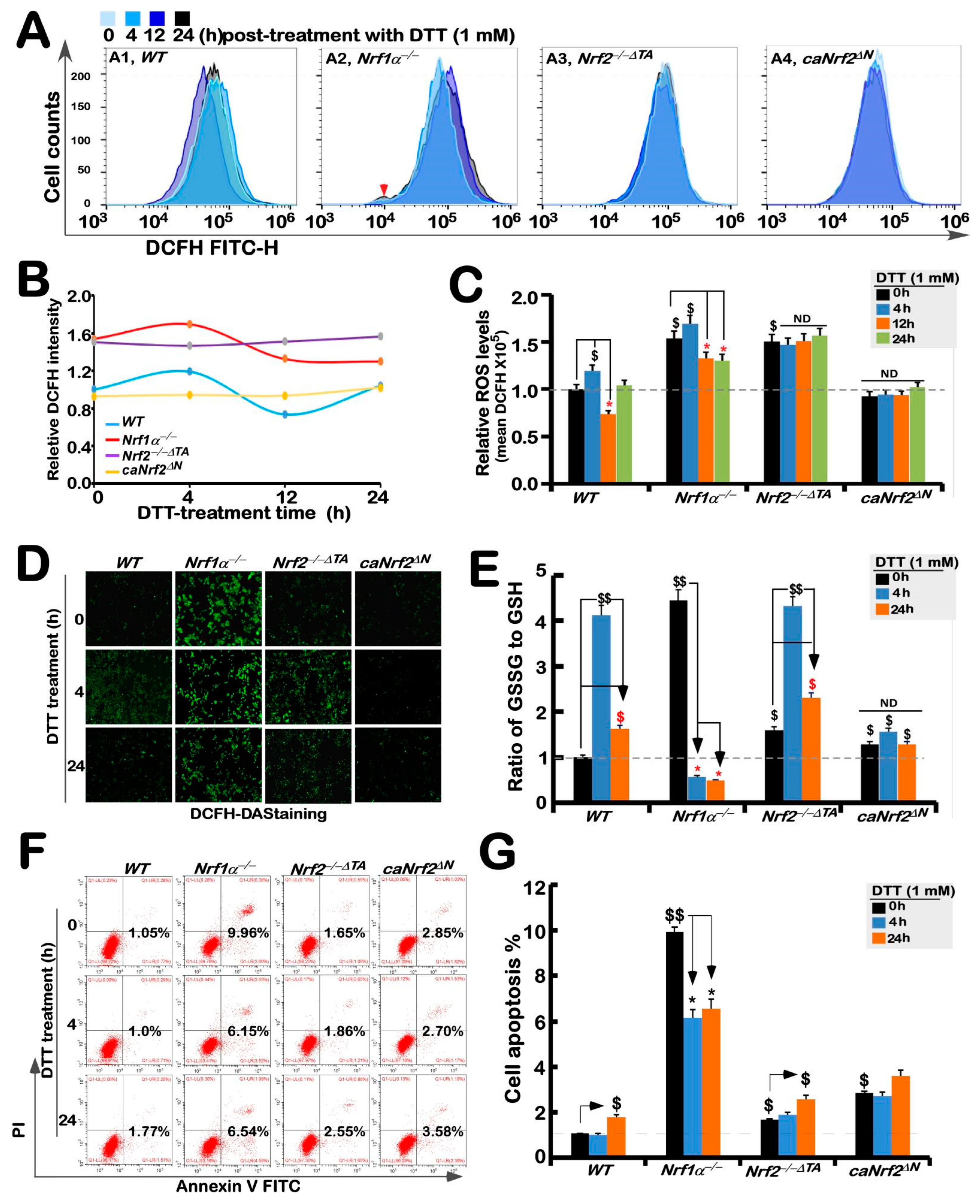 Antioxidants 11 01535 g004