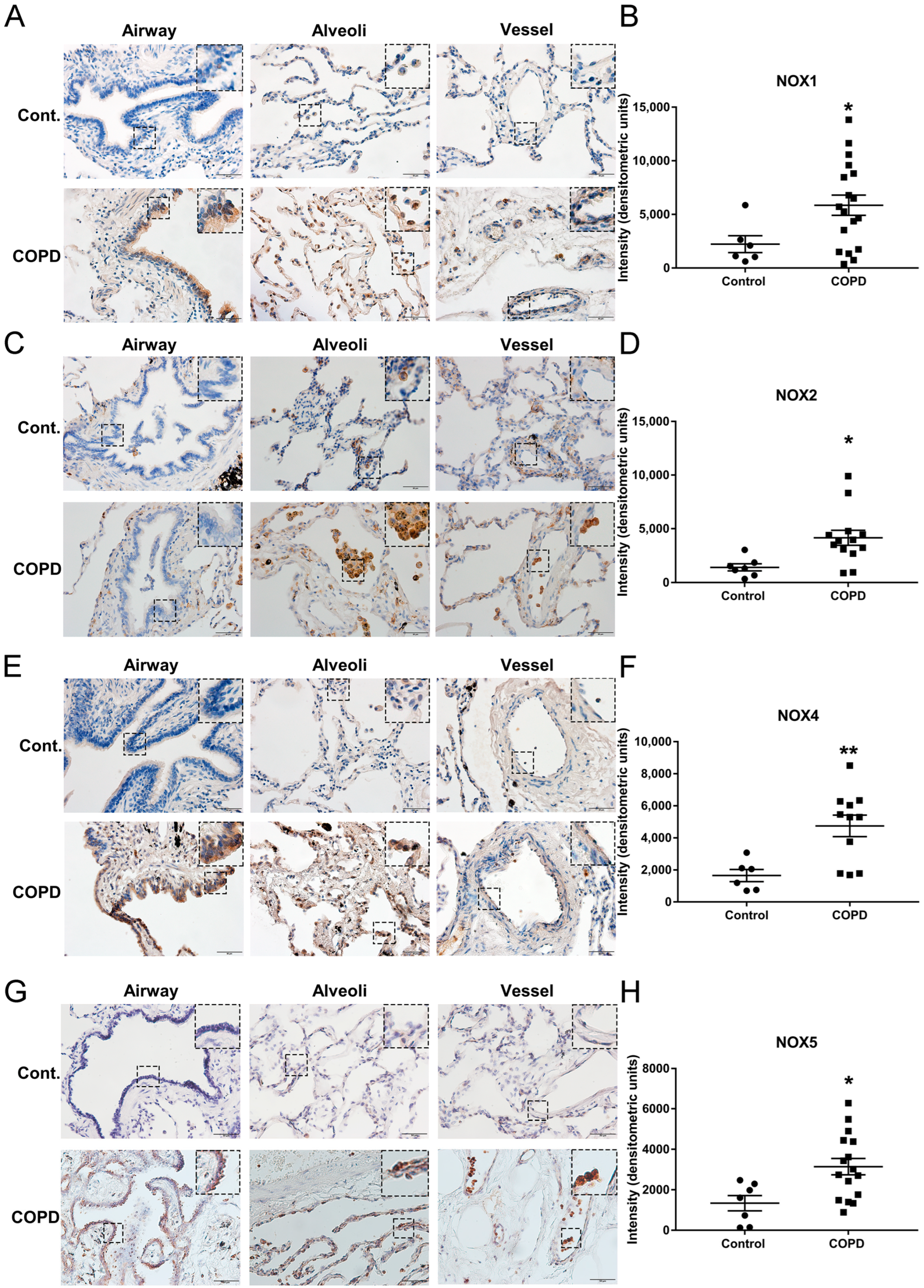 Antioxidants 11 01539 g001