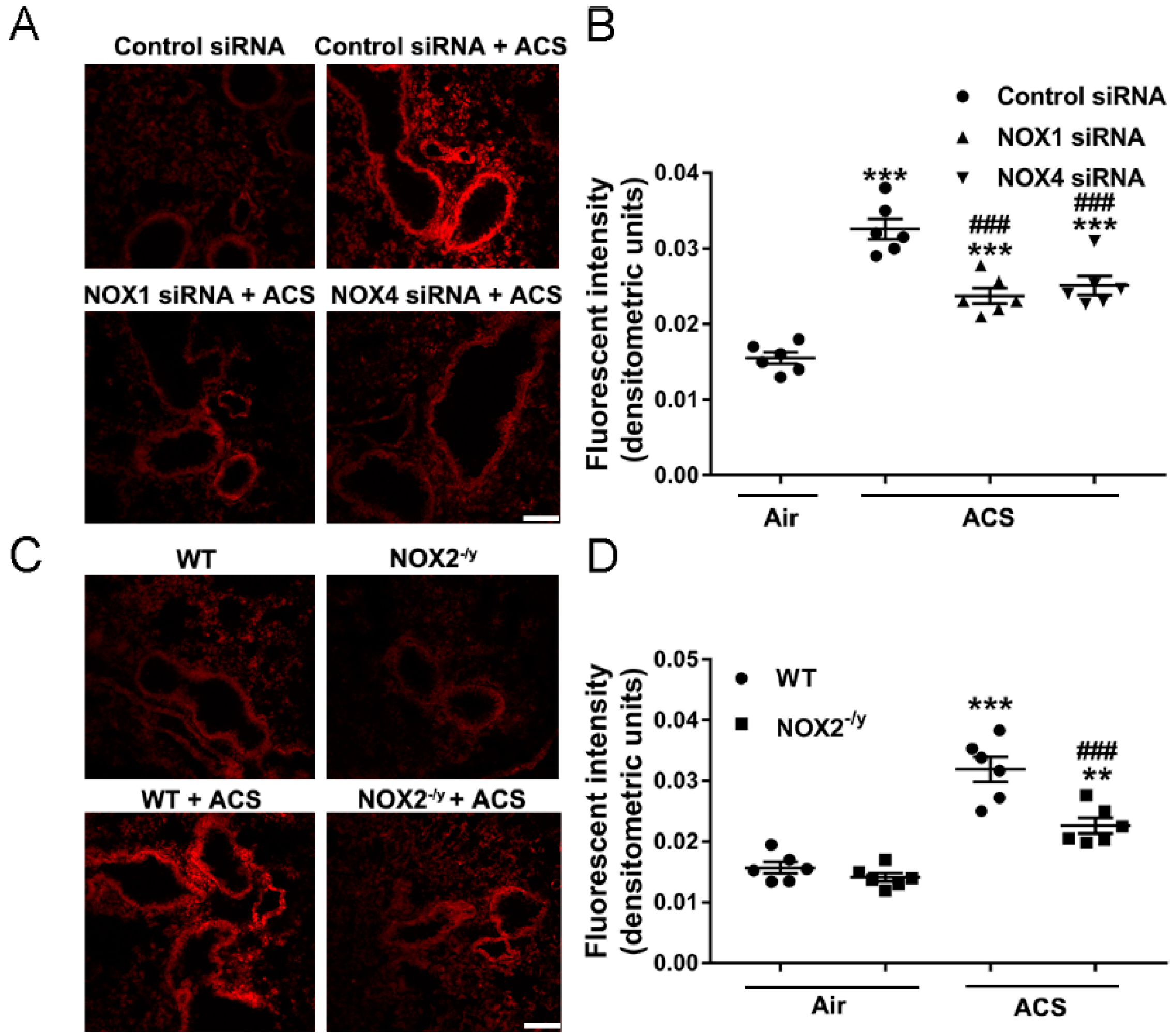 Antioxidants 11 01539 g003
