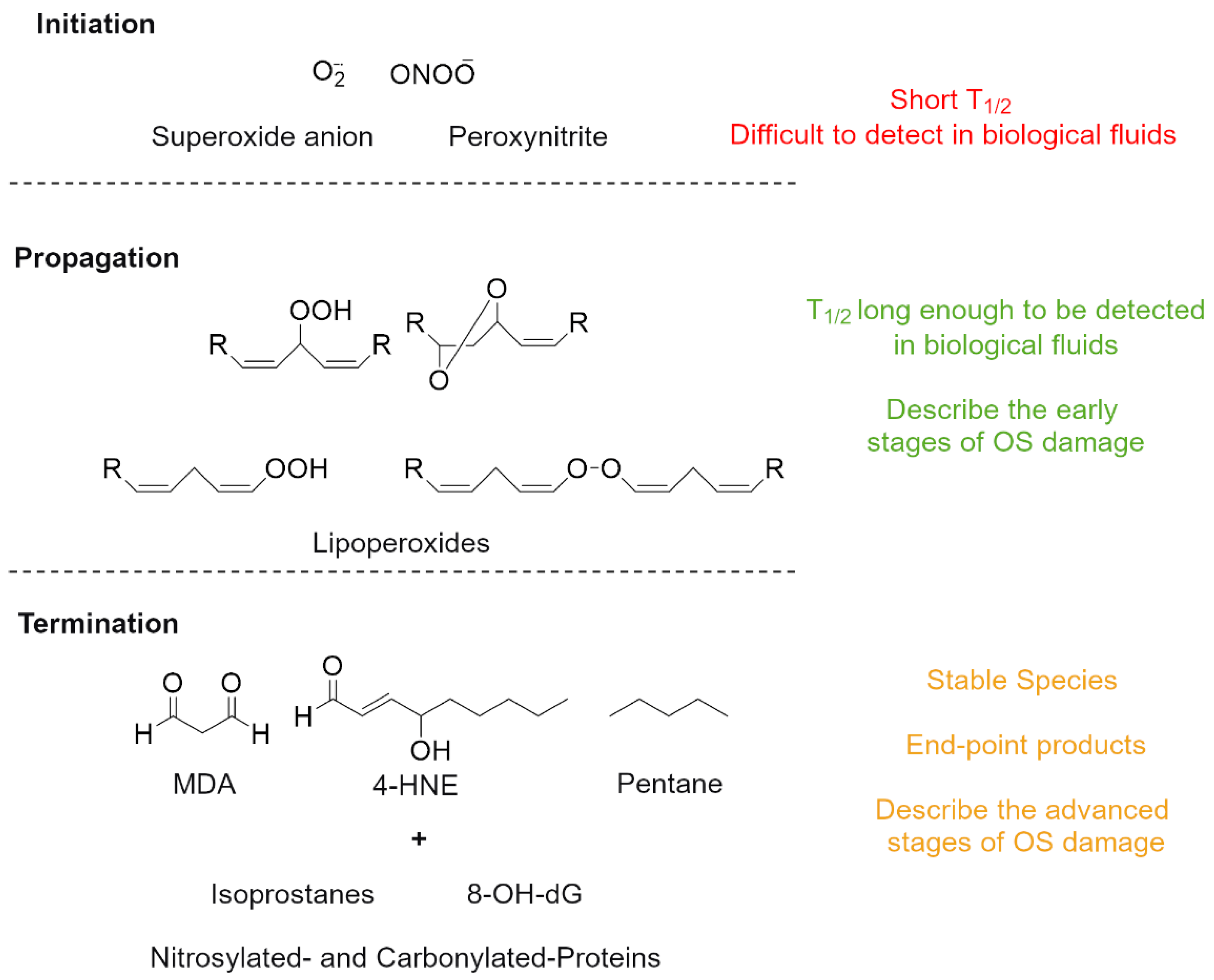 Antioxidants 11 01541 g005