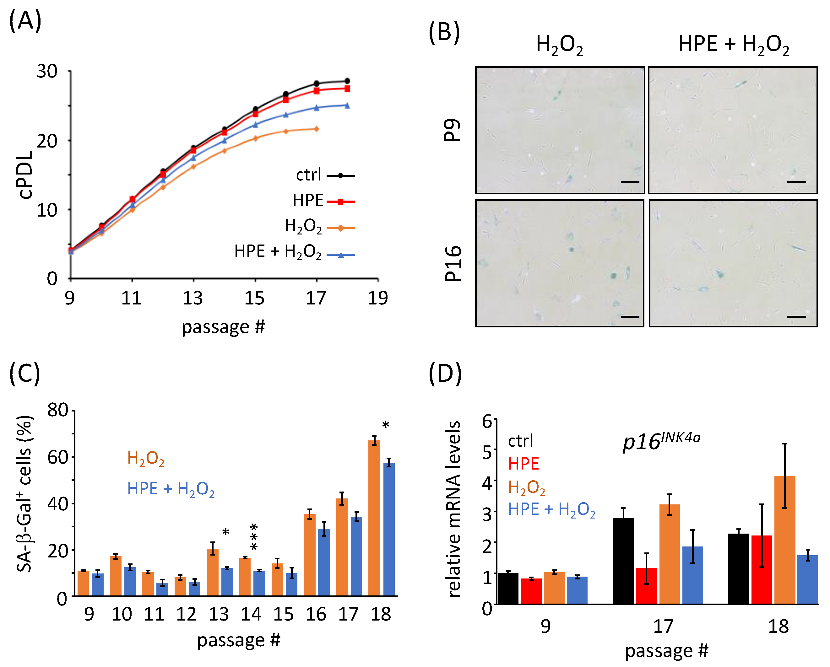 Antioxidants 11 01545 g001