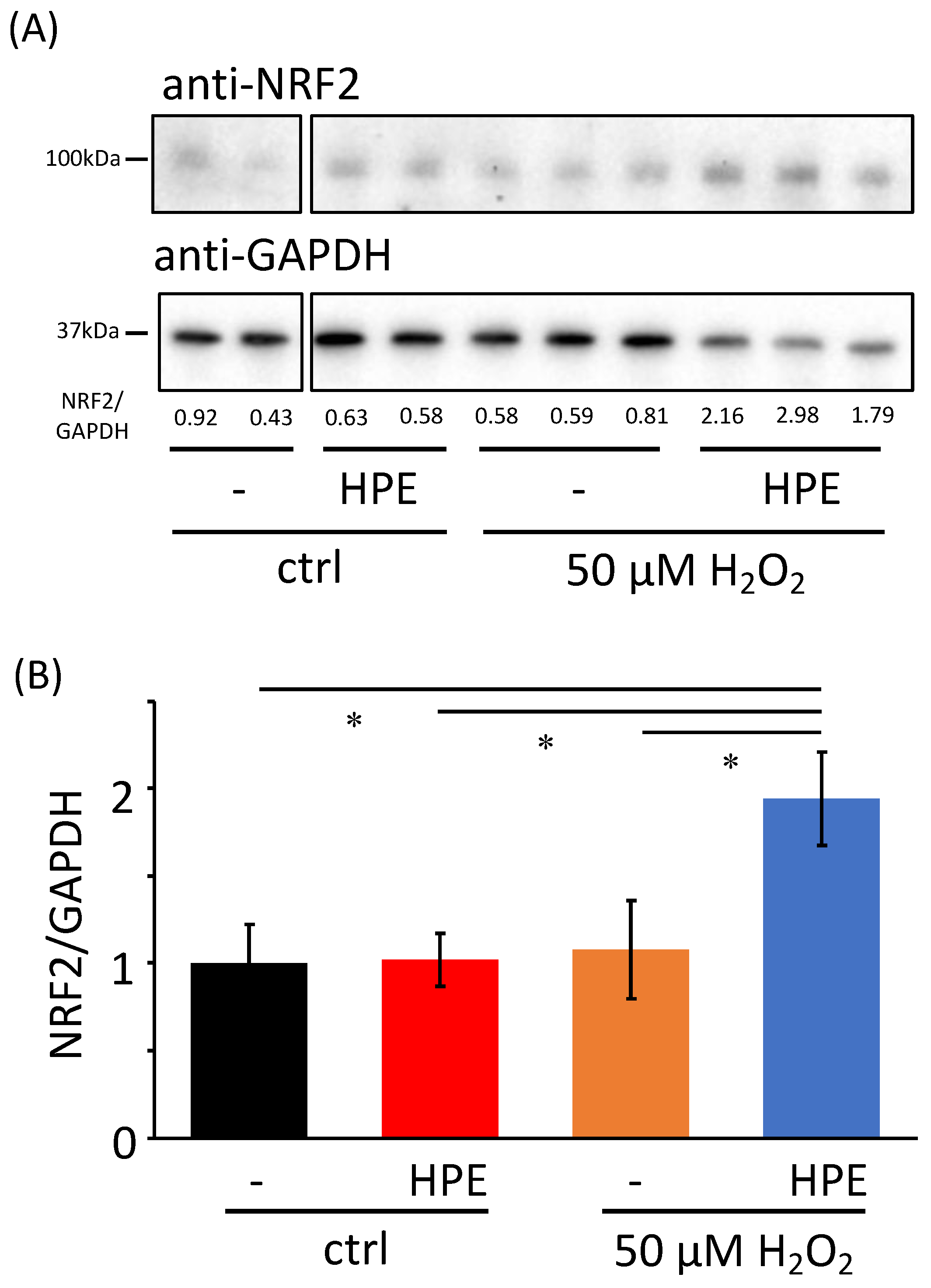 Antioxidants 11 01545 g004